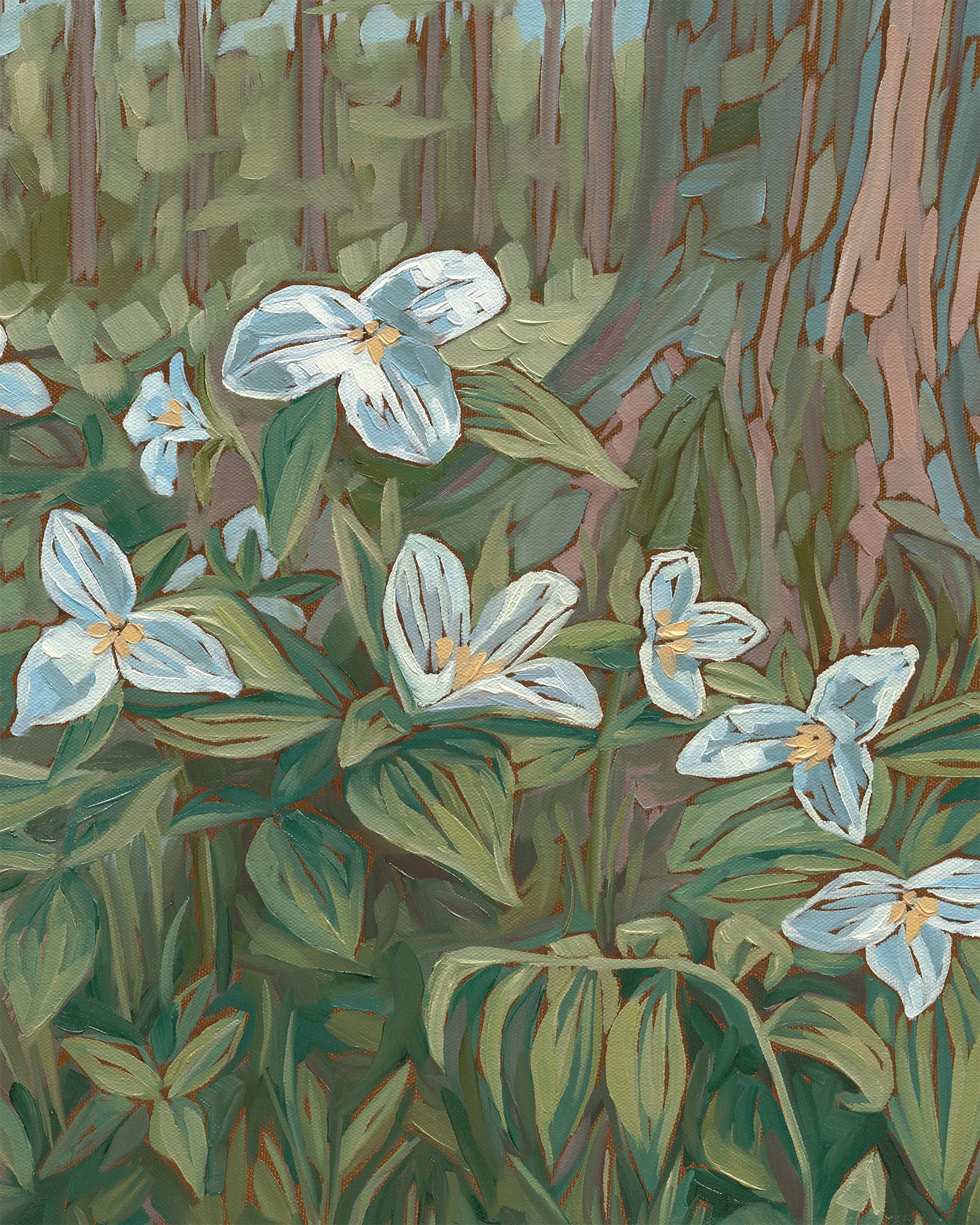 trillium-forest-michigan-wildflowers-renewal-detail.jpg