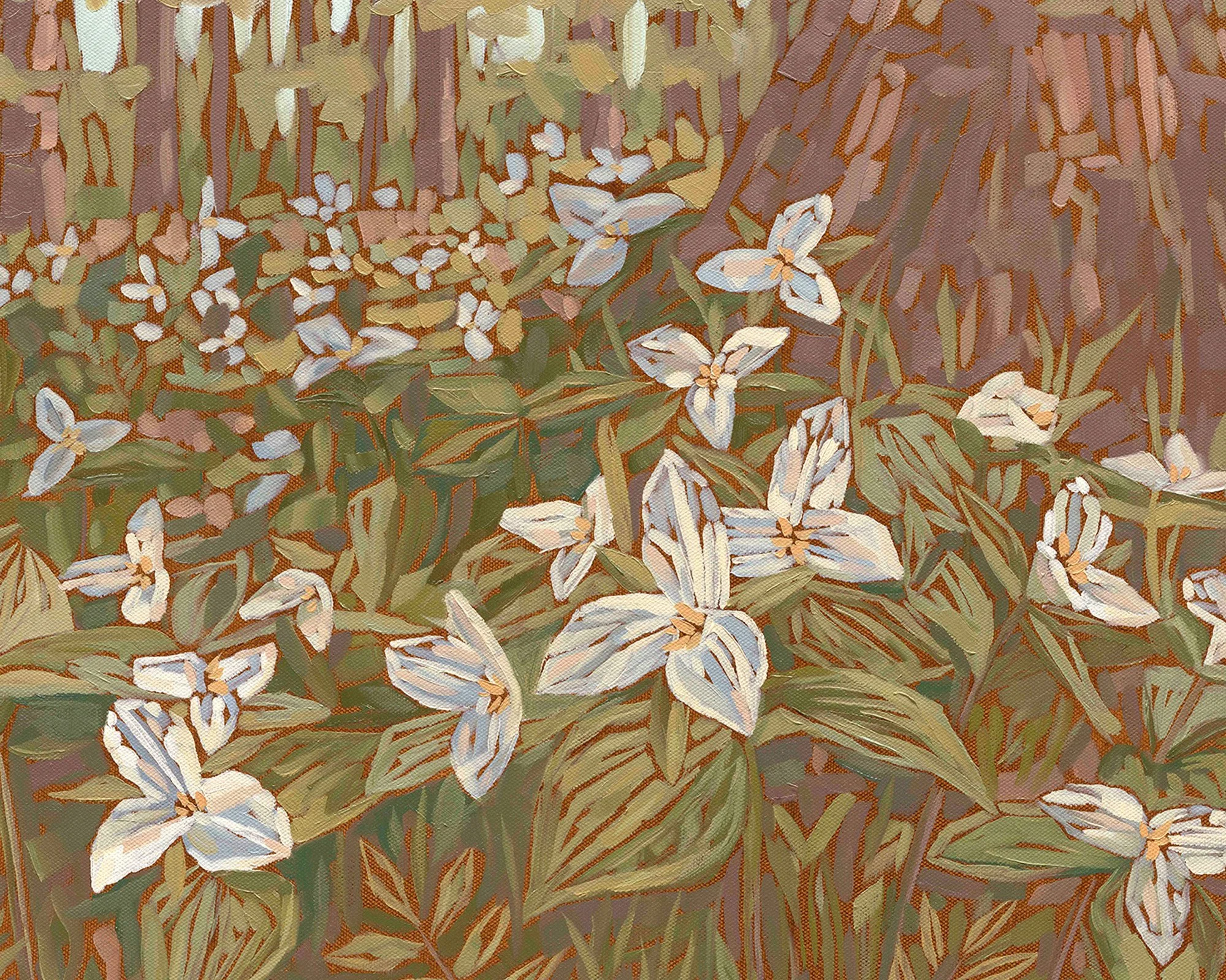 trillium-wildflowers-michigan-golden-light-detail.jpg