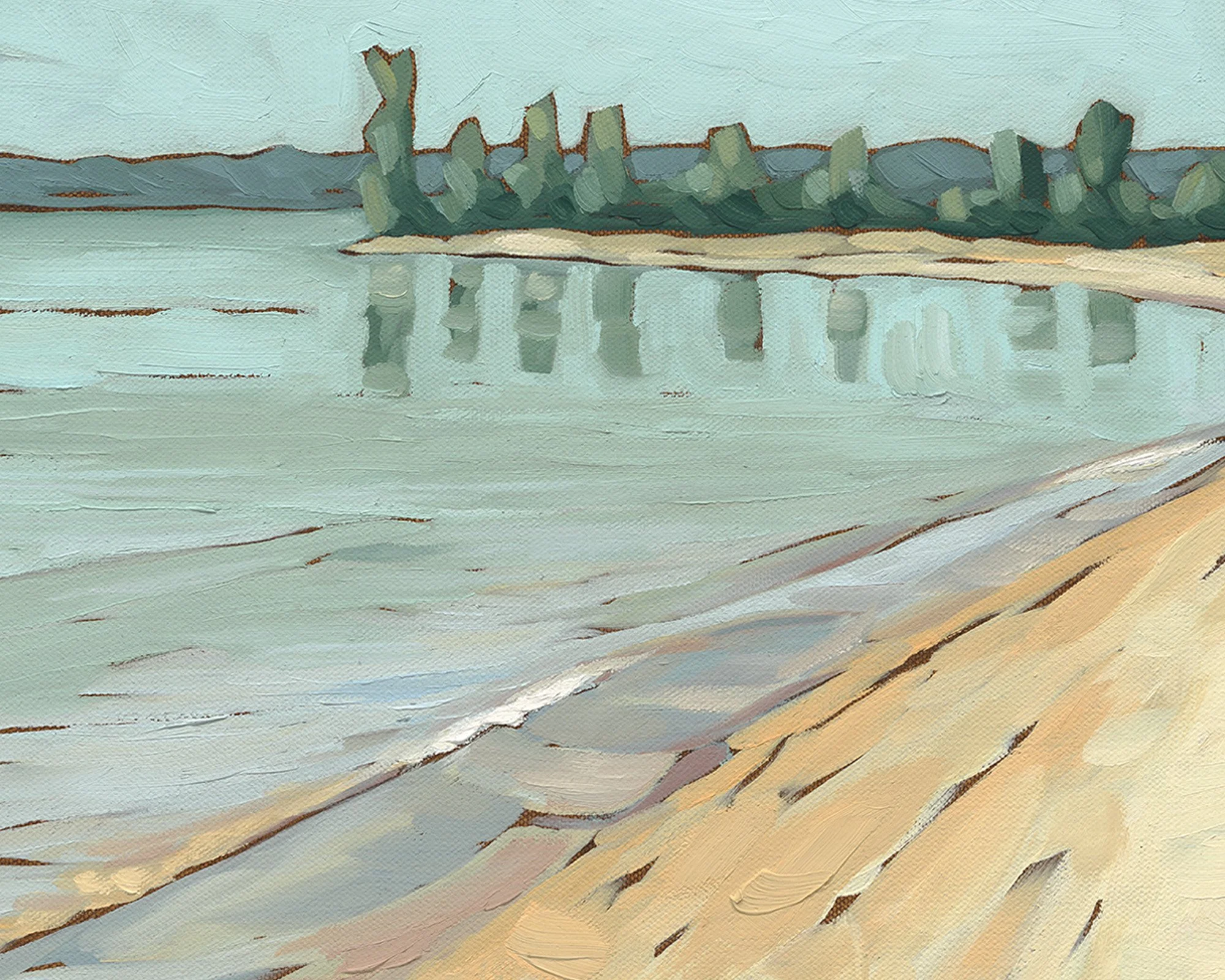 lake-michigan-beach-detail.jpg