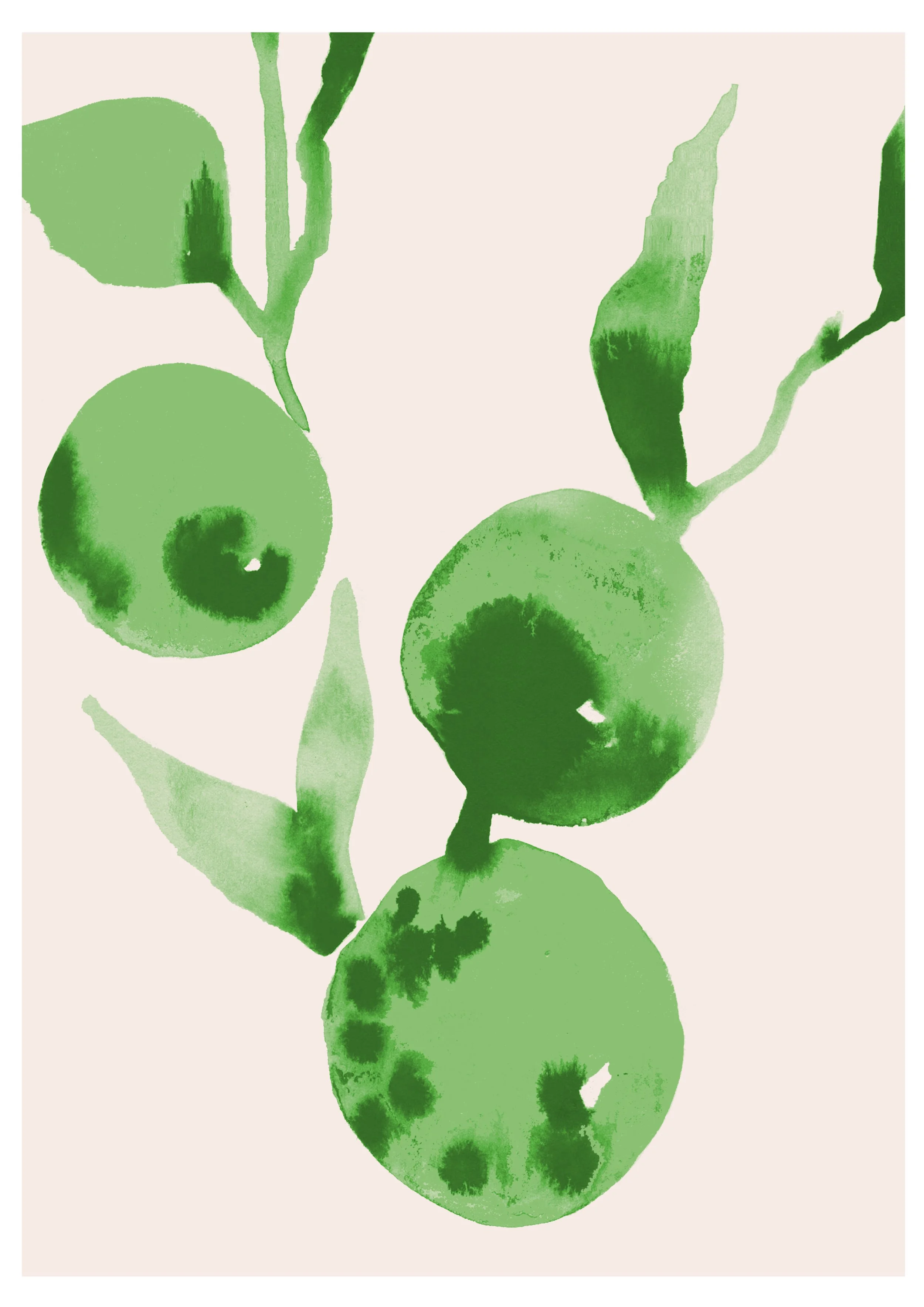 Specialist in Nature illustrations, Flora and Fauna botanical artworks