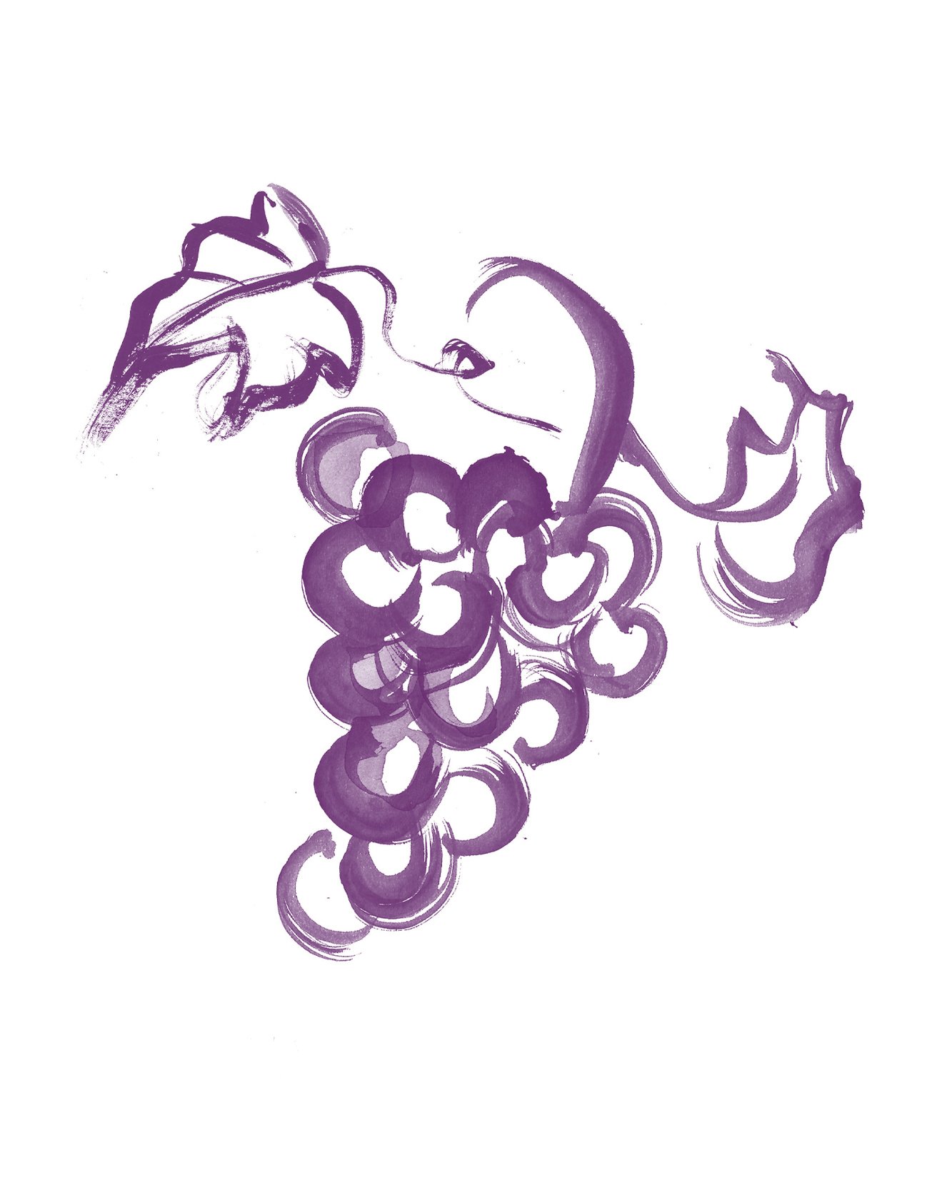 CAROLINE-TOMLINSON-STUDIO_grapes_final.jpg