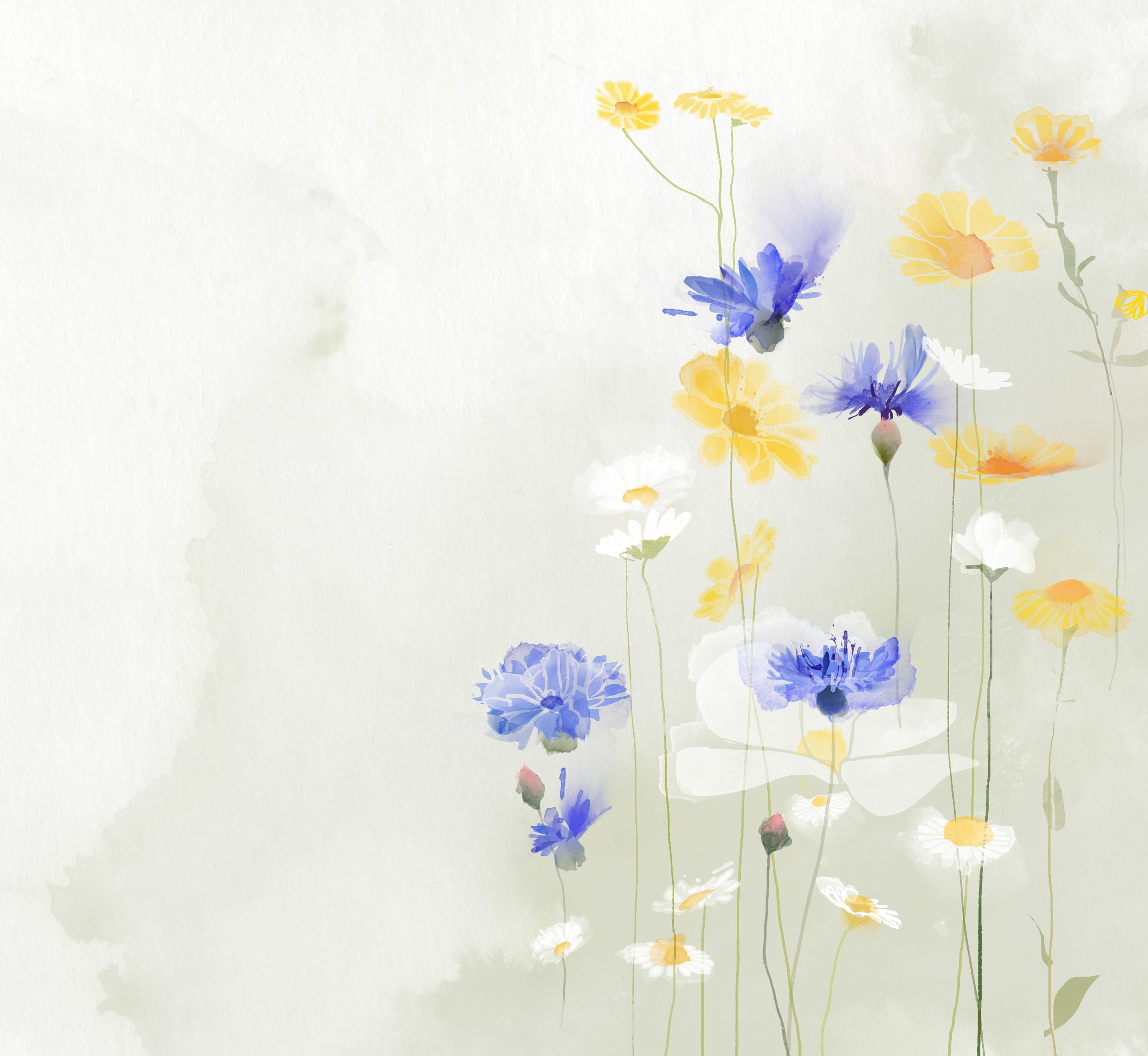 Coworth Park MEADOW v2.jpg