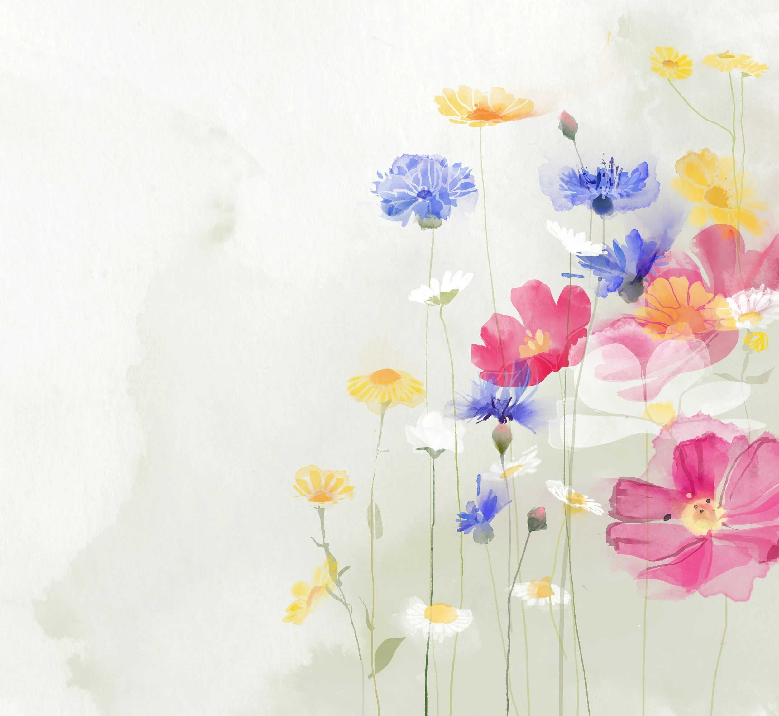 Coworth Park MEADOW v1.jpg