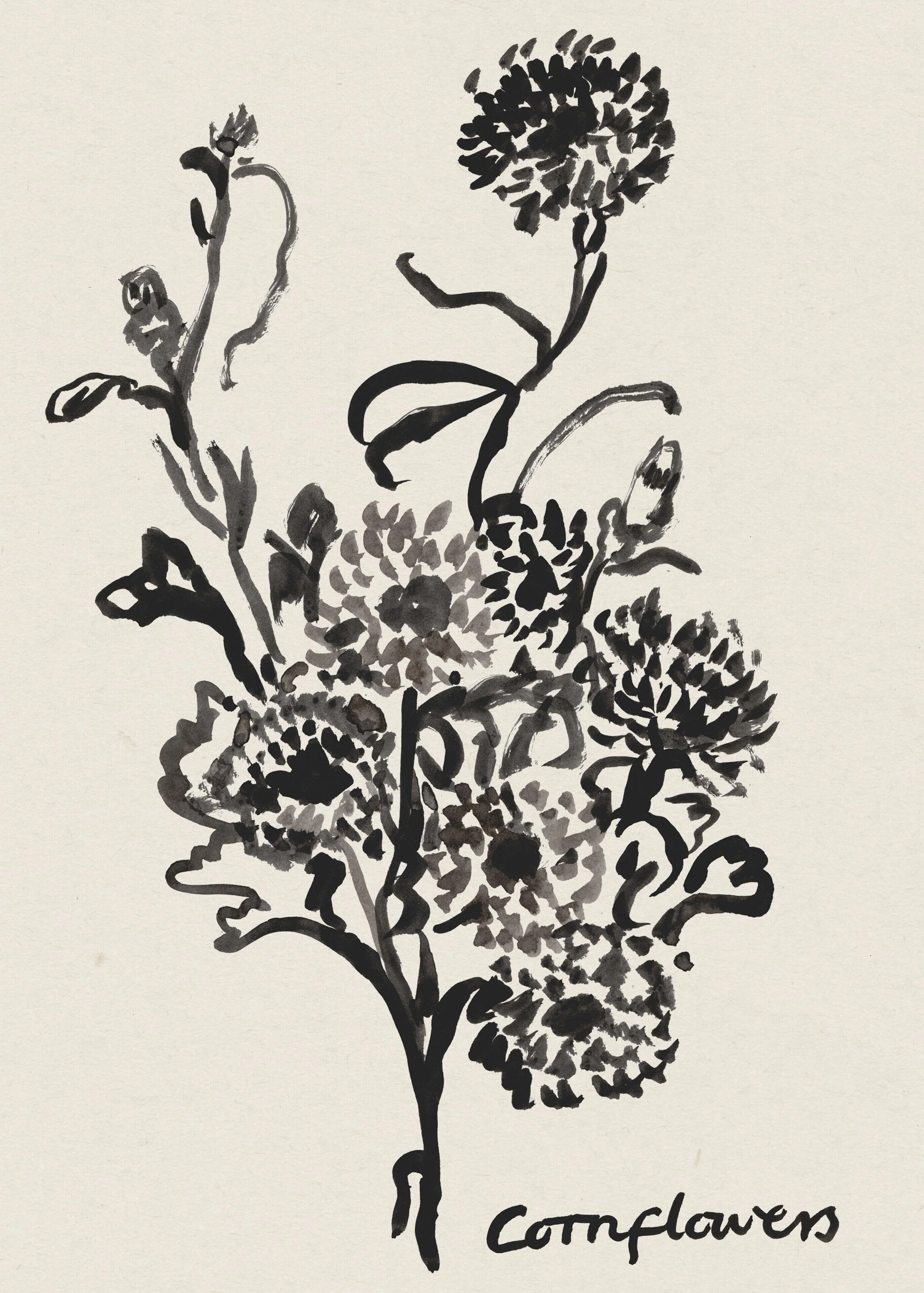 Specialist in Nature illustrations, Flora and Fauna botanical artworks