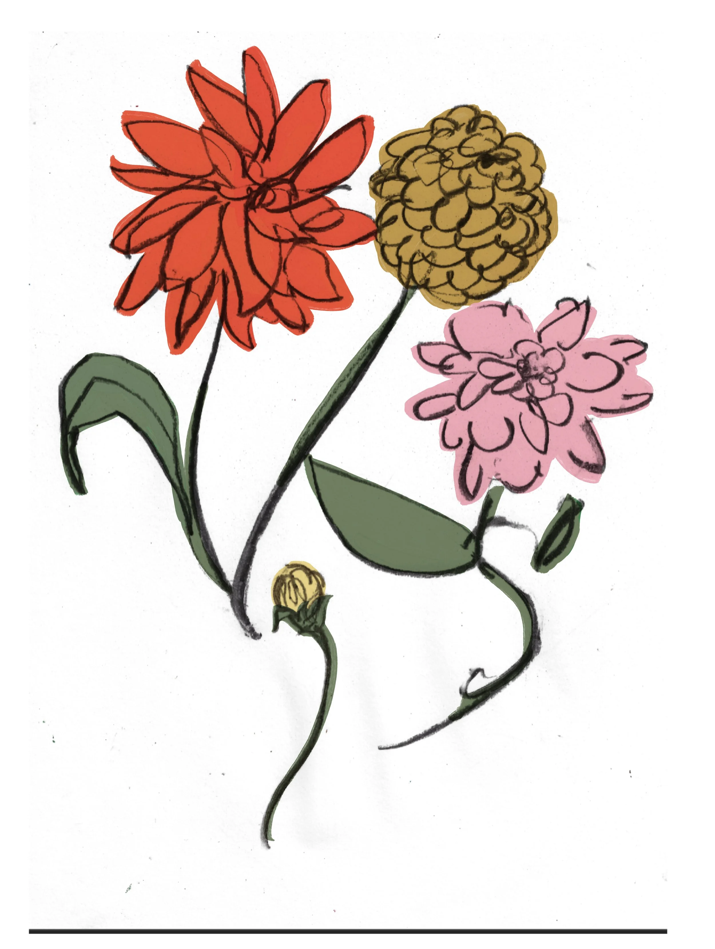 Jess Rose Bird