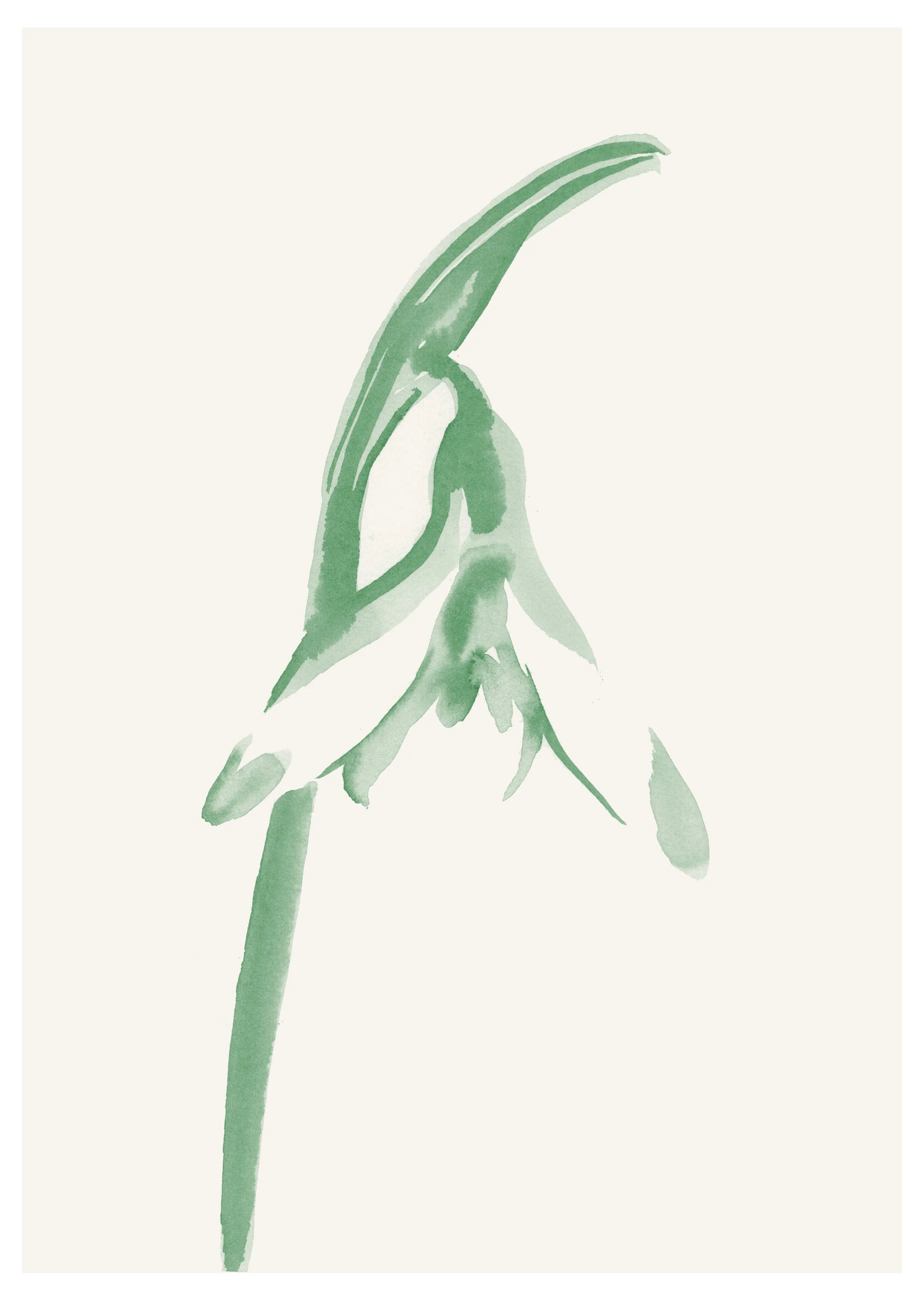 0. joannalayla_snow drop_1 copy.jpg