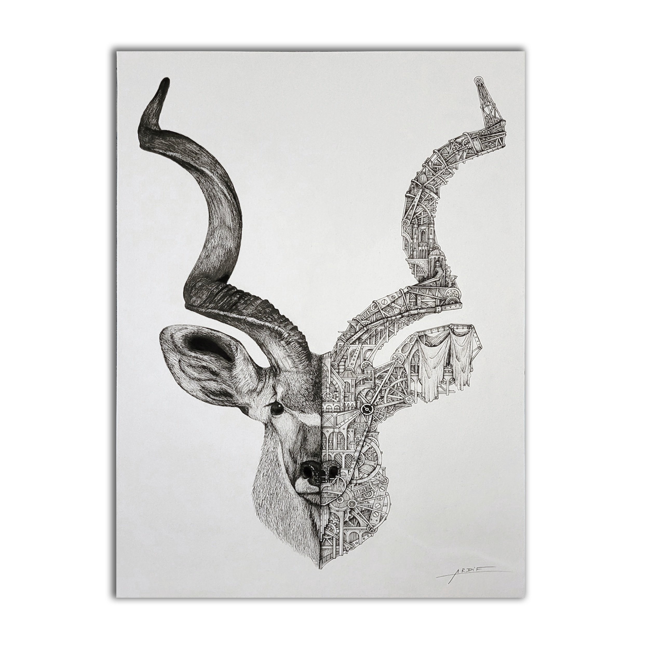 ARDIF+-+Antilope+-+2020+-+0thumb.jpg
