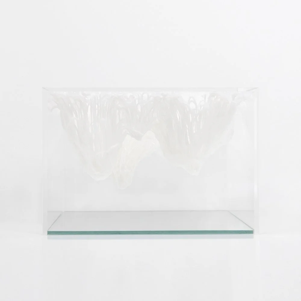 Yasuaki Onishi - Inside of volume - 2016 - photo 2.jpg
