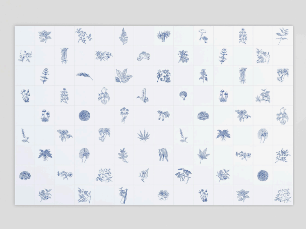 Adriana Varejão - Panacea Phantastica