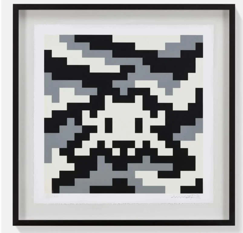 INVADER - CAMO S-3C-M2