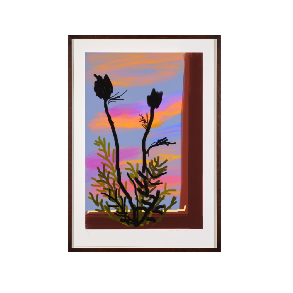 EarlyMorning_Untitled_470.png