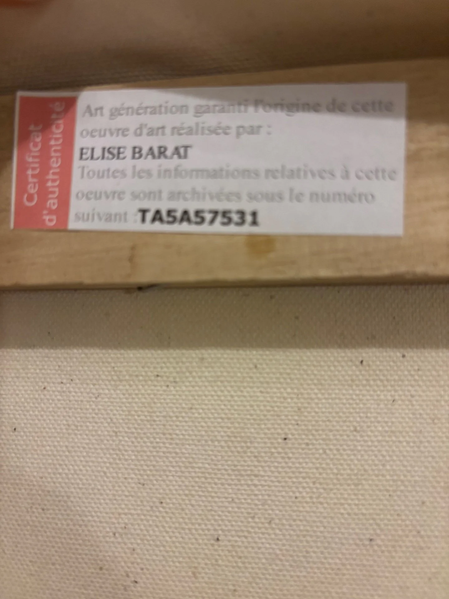 image - 2026-02-13T161530.654.jpg