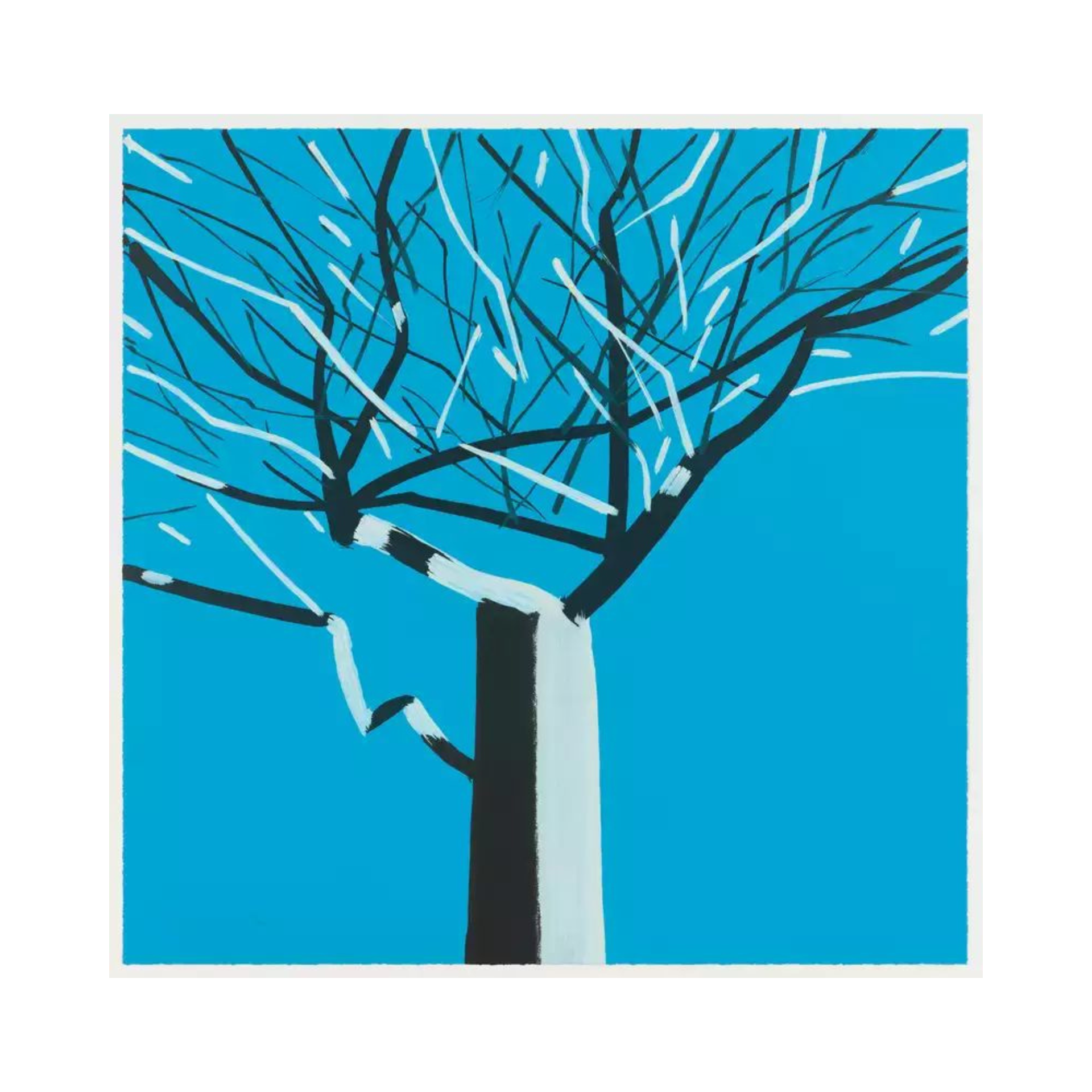 image - 2025-12-12T183530.278.png