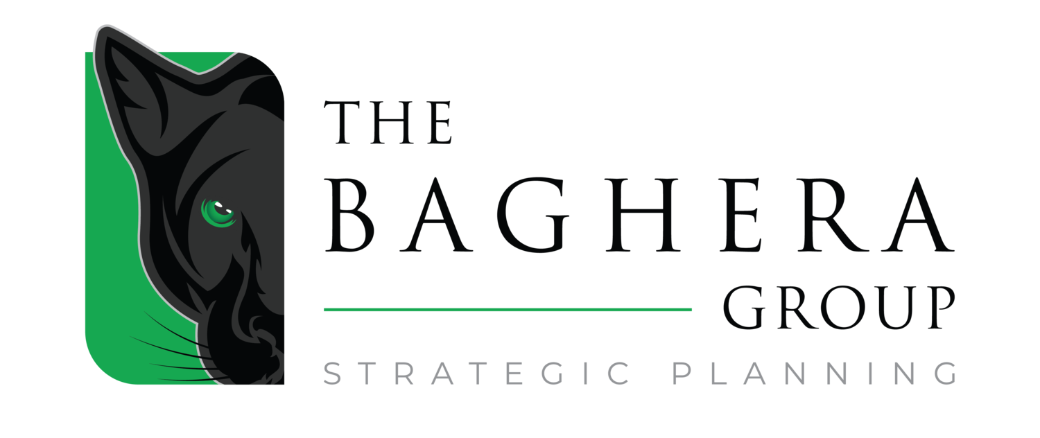 The Baghera Group