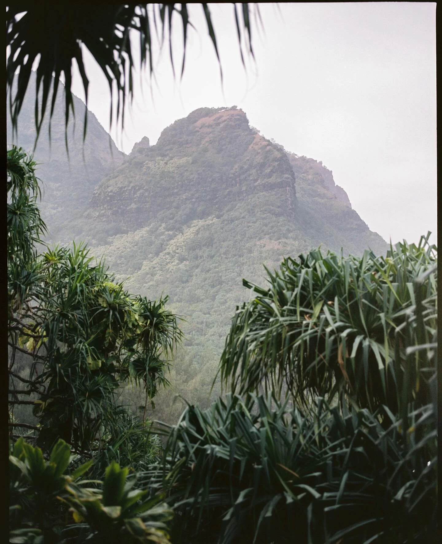 There&rsquo;s a waterfall in Kauai, about 4 miles from Hā&lsquo;ena, called Hanakāpī&lsquo;ai Falls, which might have changed something in me forever. At first, I thought it was the countless encounters with kind, open, and light-hearted people. Then