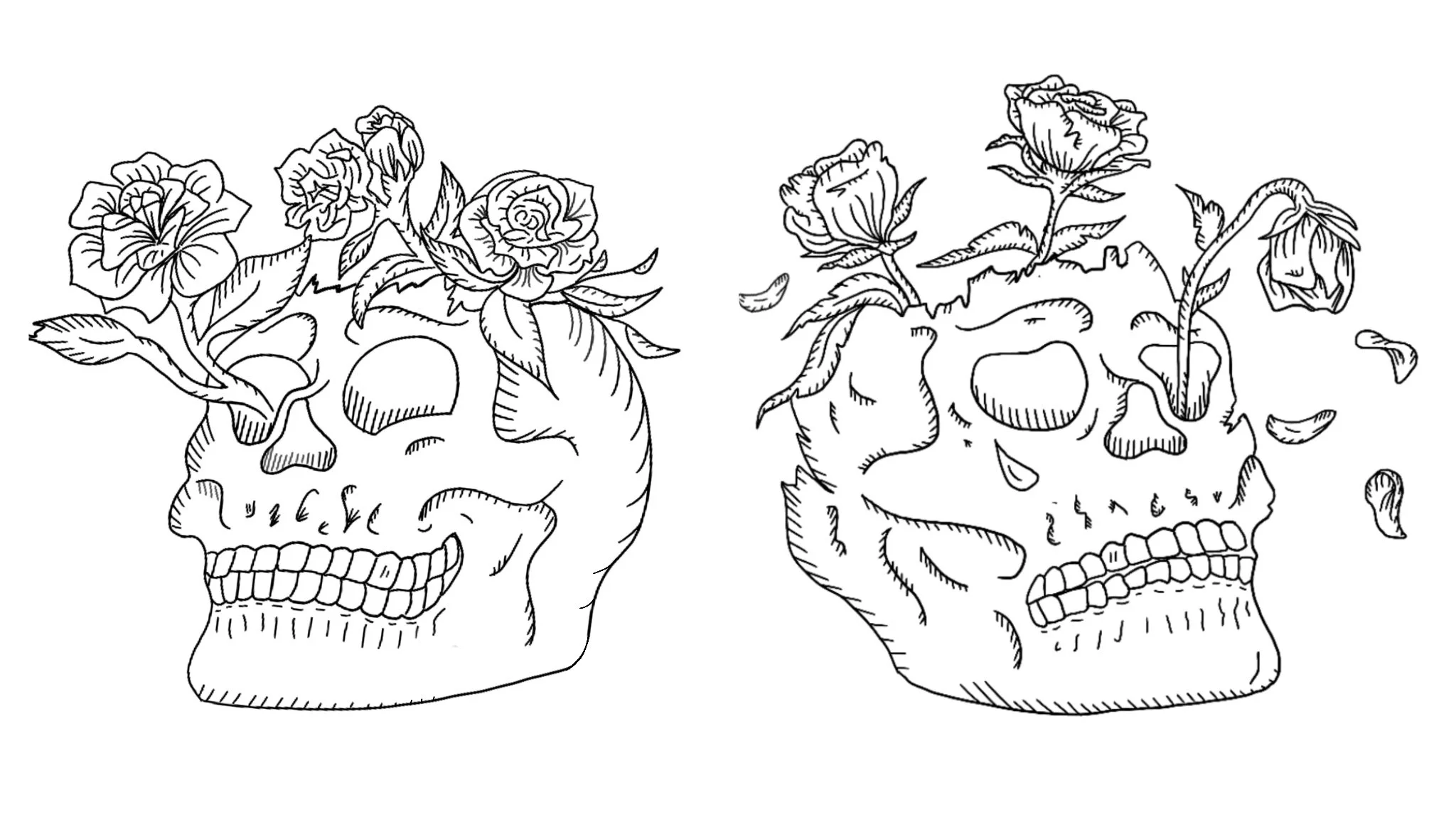 Untitled_Artwork 8 copy.jpg