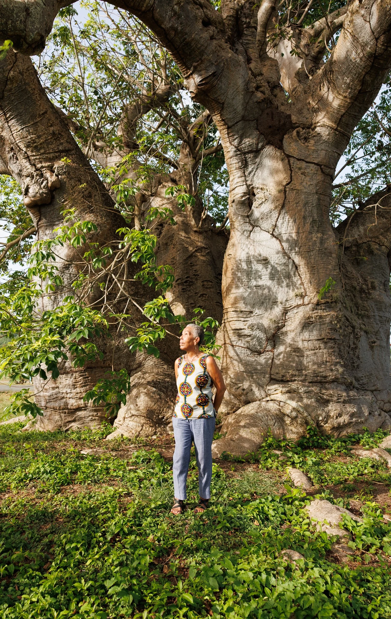Jhanielle Brown Spirit Trees St. Croix US Virgin Islands-4.jpg