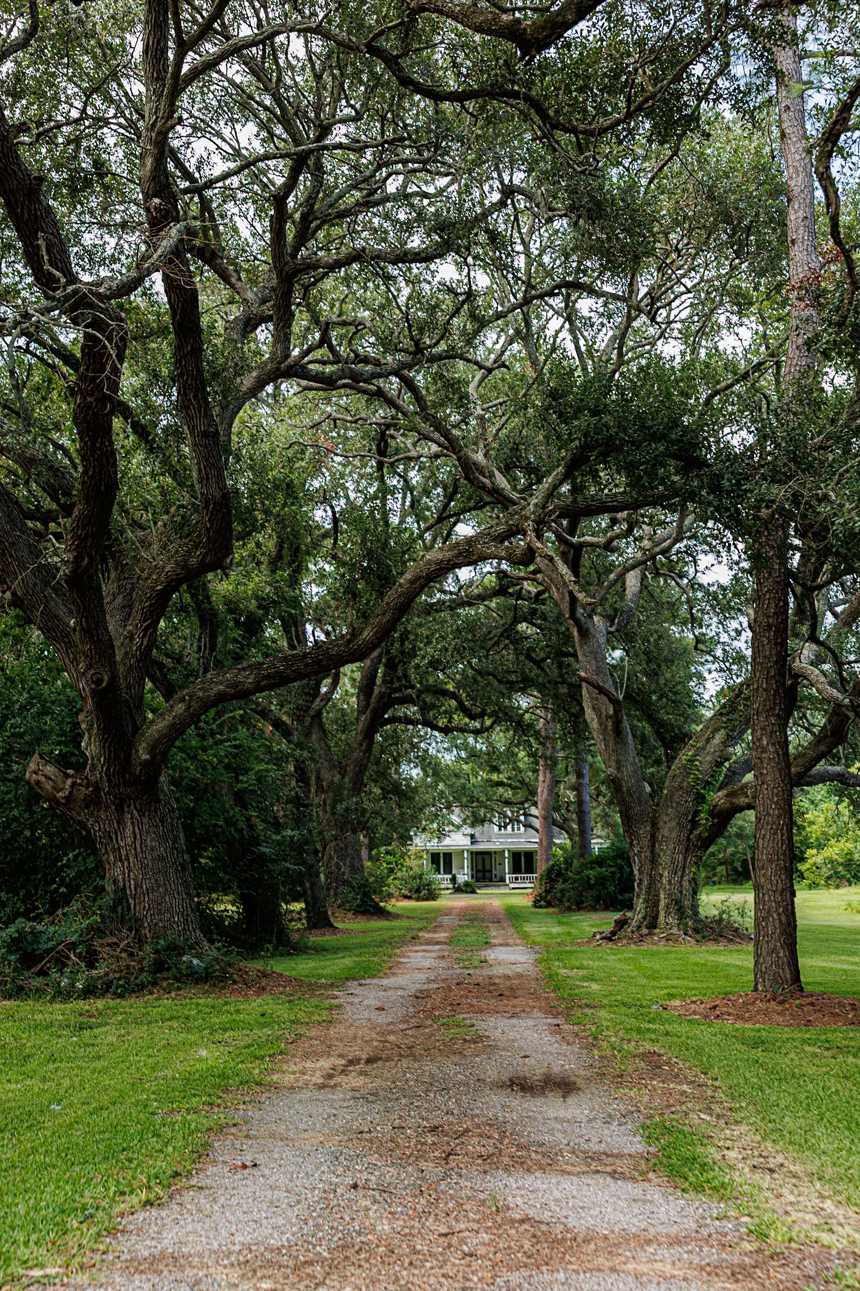Jhanielle Brown Springfellow Orchards.jpg