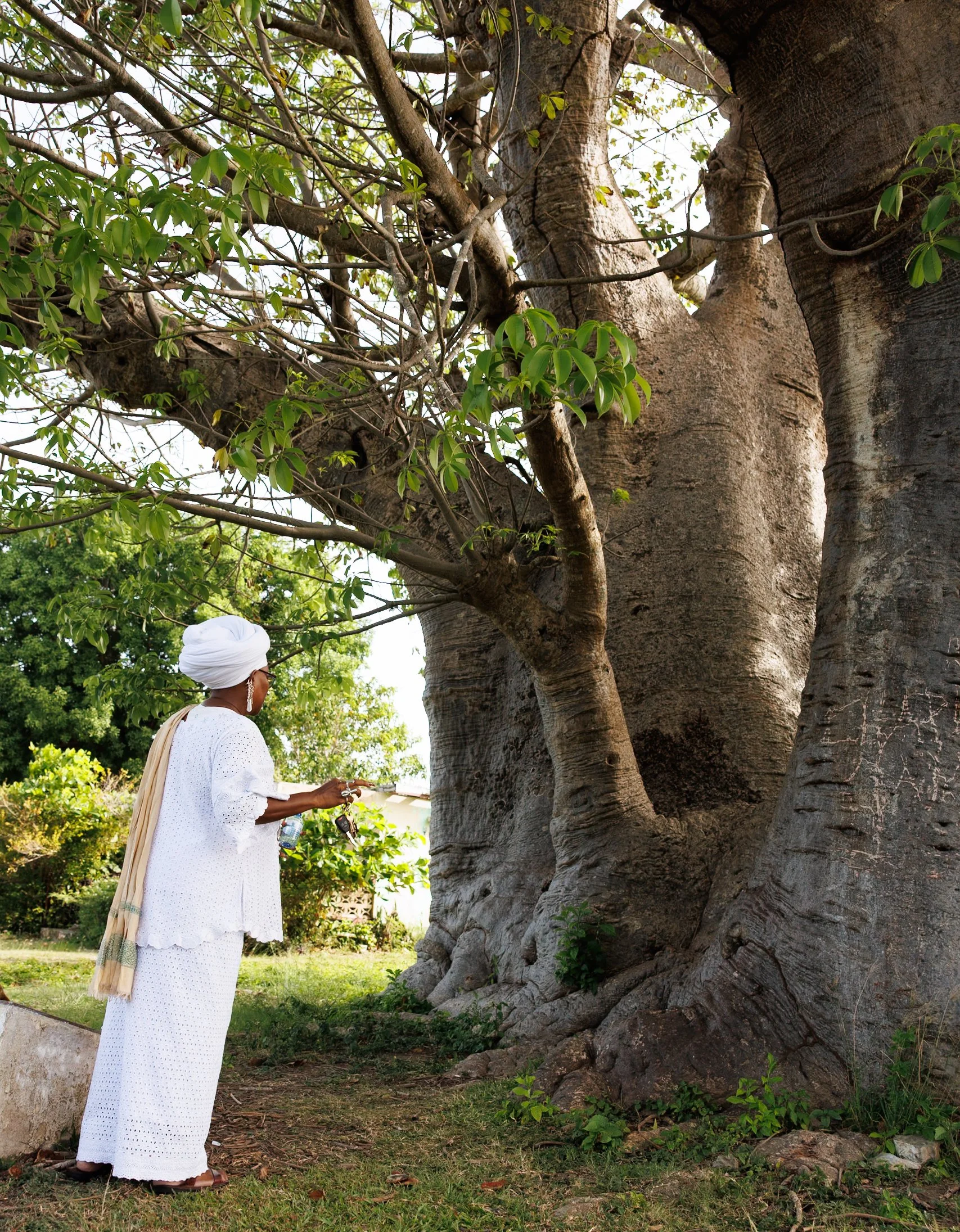 Jhanielle Brown Black Heritage Trees St. Croix US Virgin Islands-3.jpg