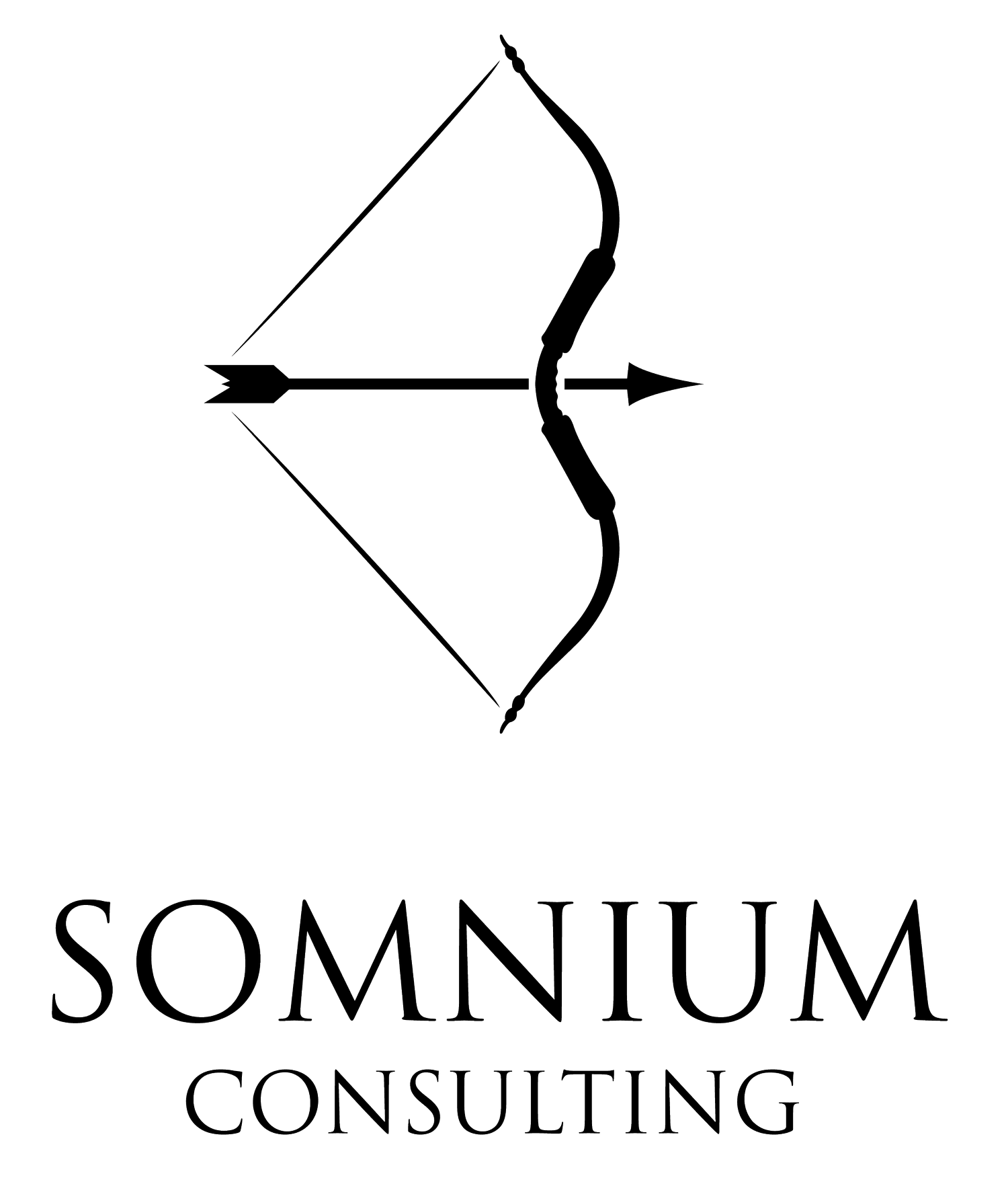 Somnium Consulting