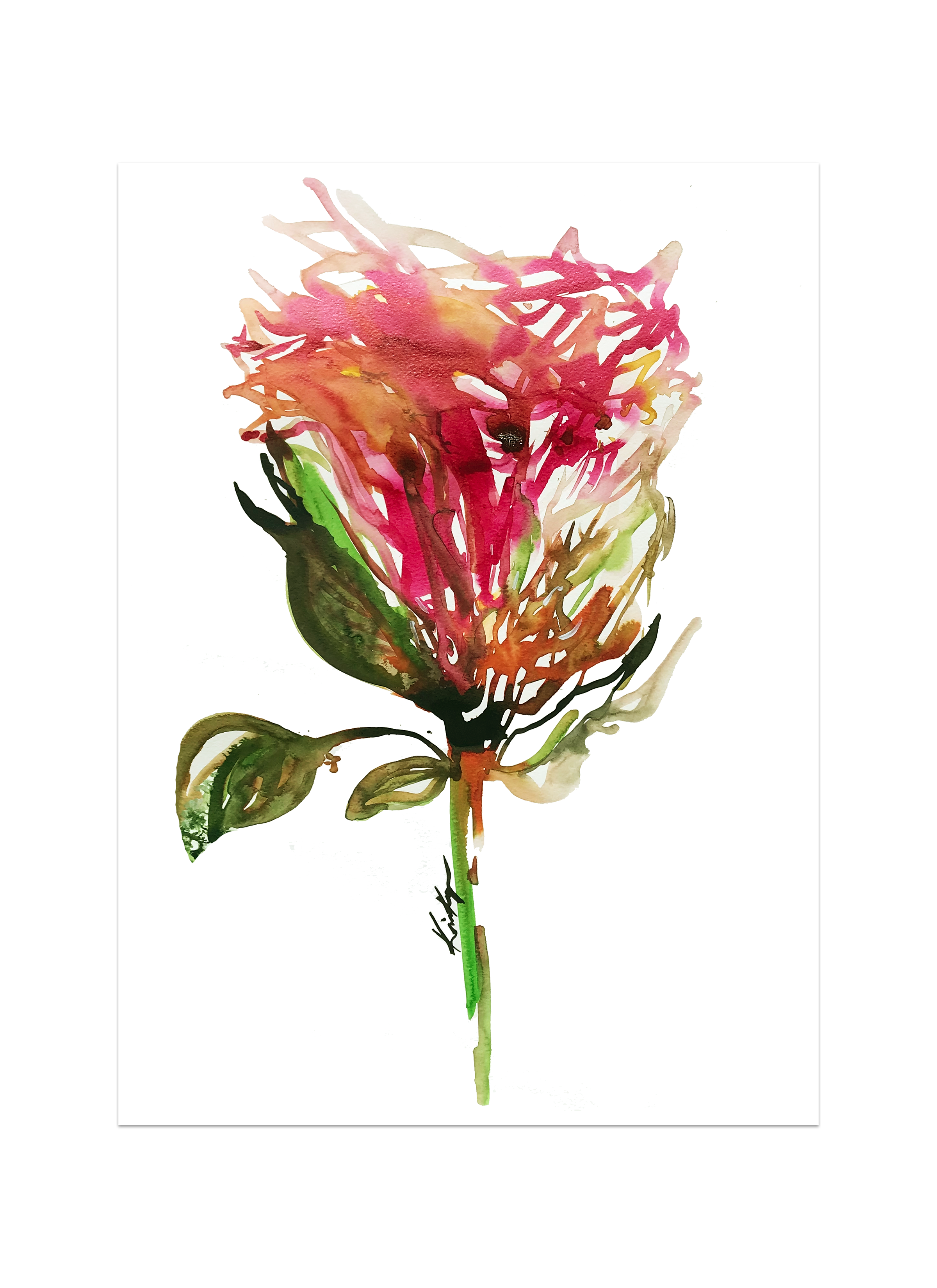 Cotton Flower Original Painting