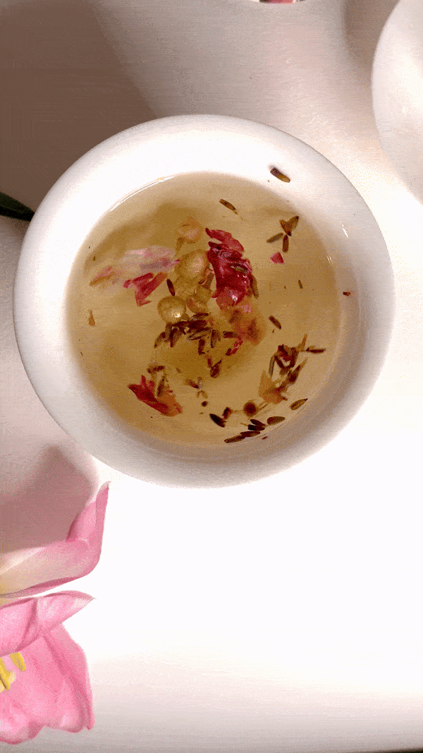 IMG_8563-ezgif.com-optimize.gif