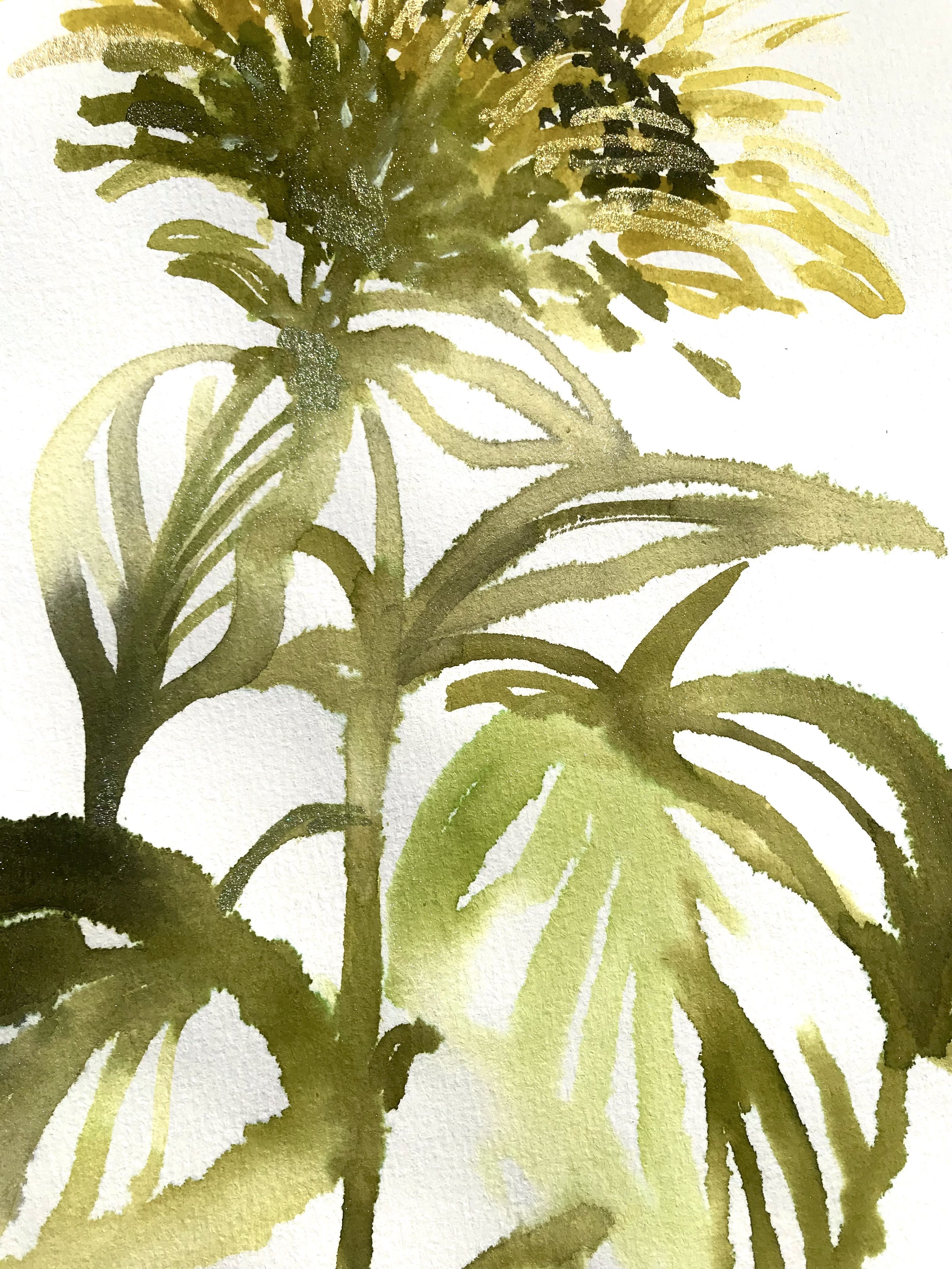 sunflower1.2.kriskeys.jpg