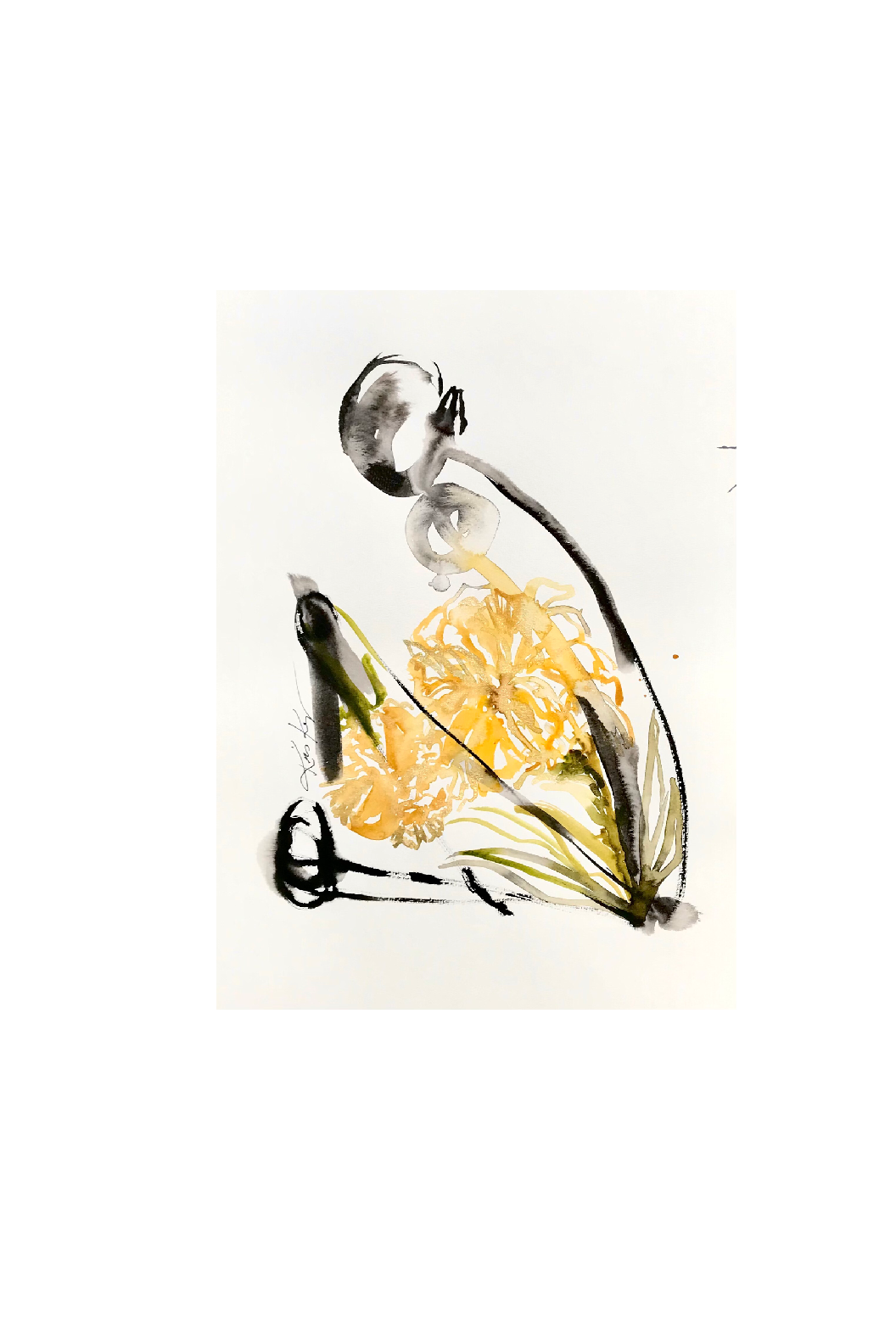 IMG_4570.PNG