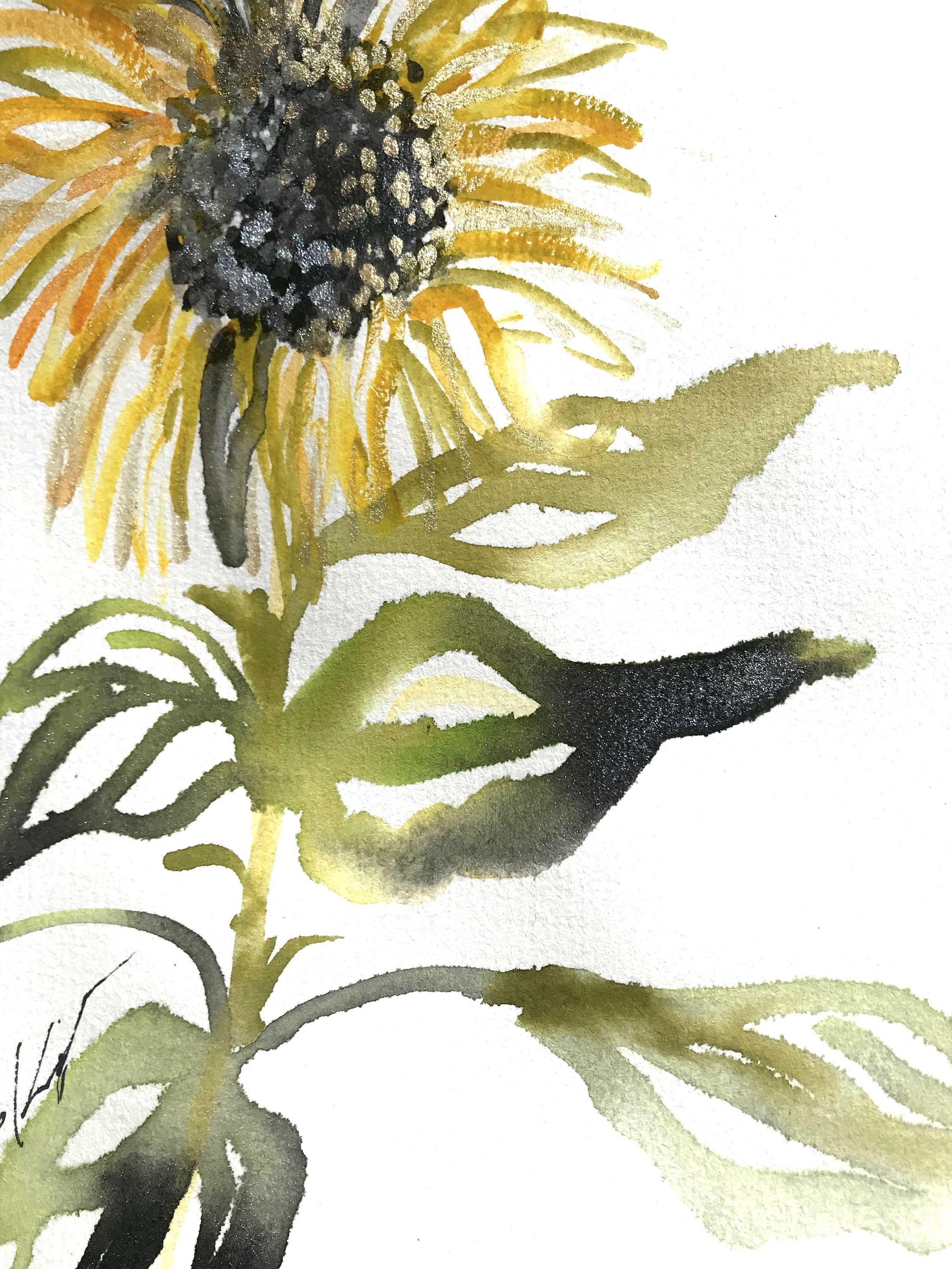 sunflower4.3.kriskeys.jpg