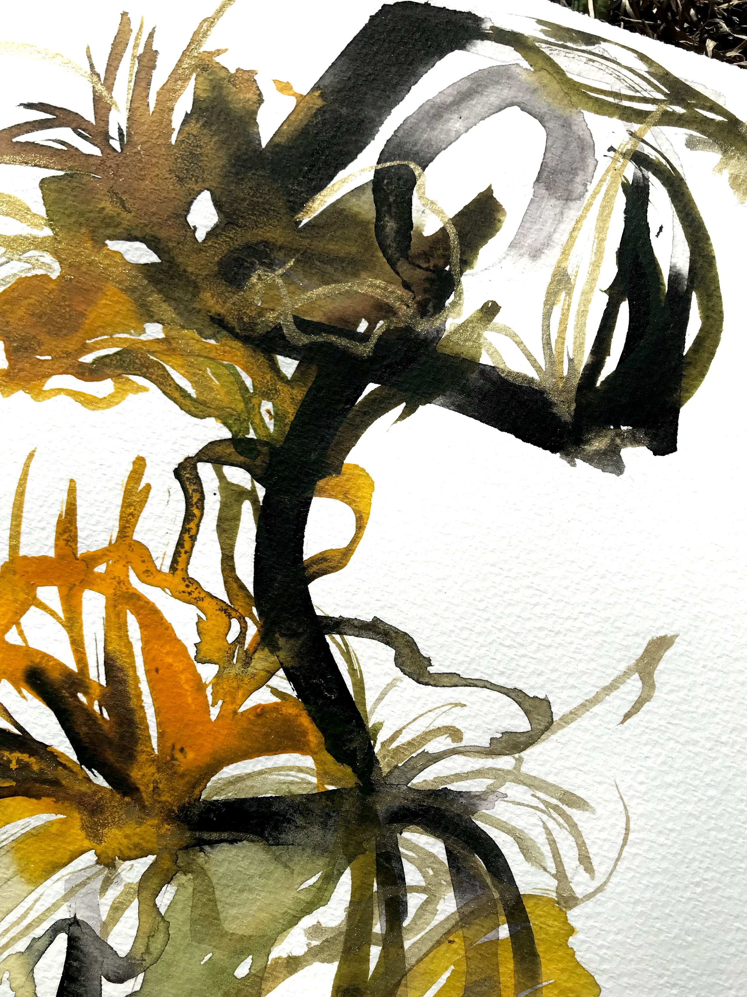 gladiolustwo.kris keys.2.3.png