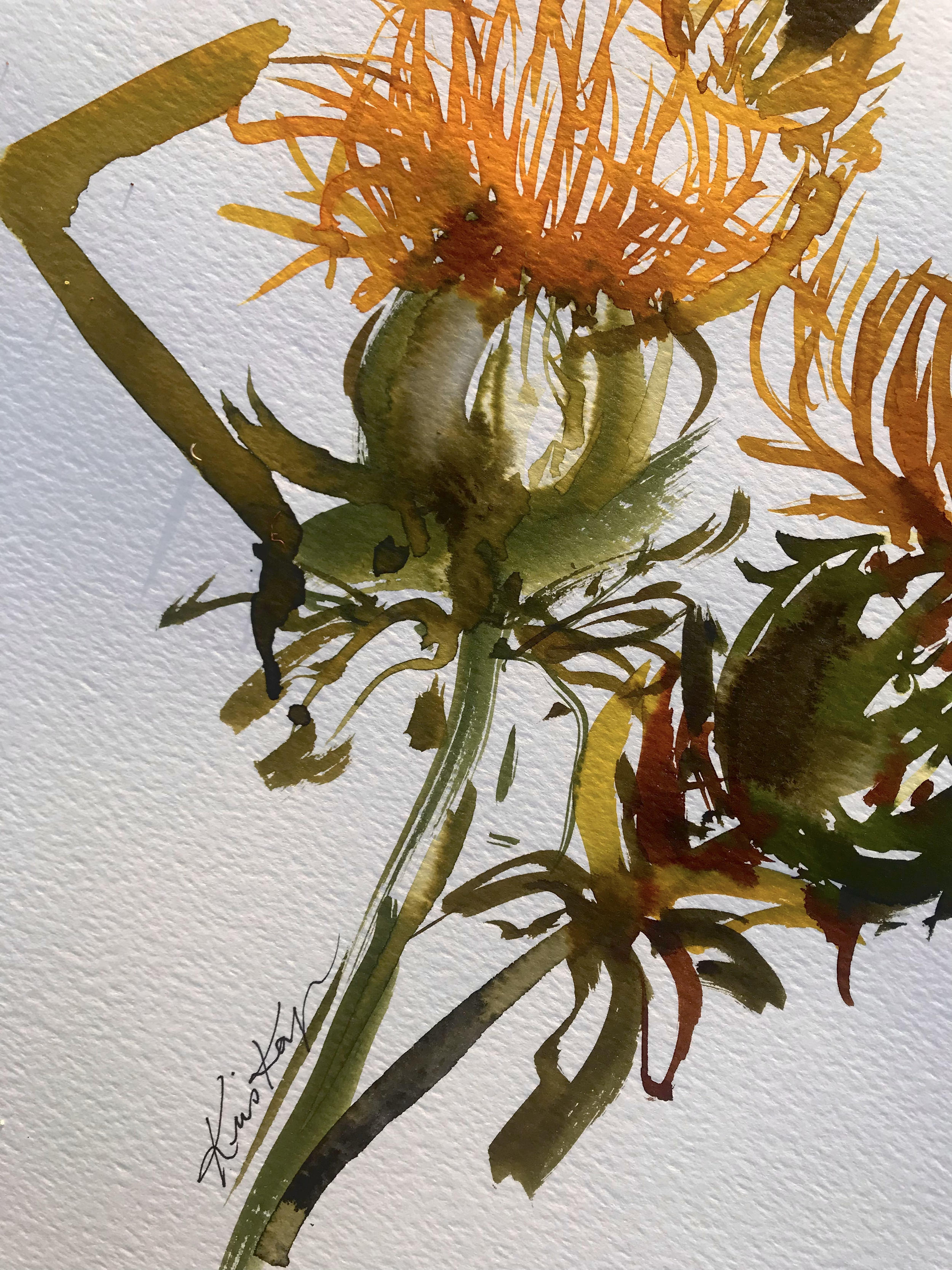 safflower.kriskeys1.png