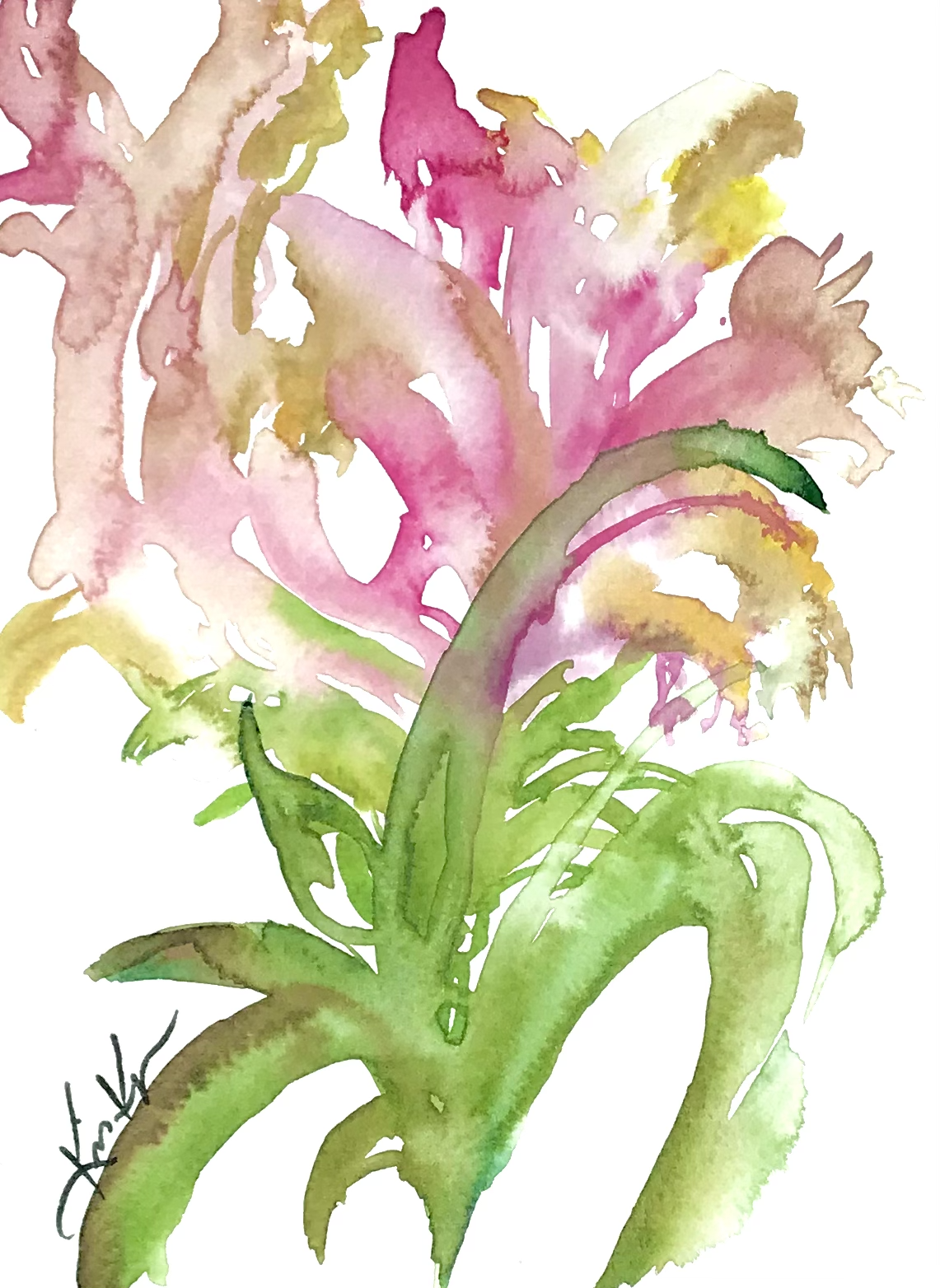 falling rose #1.png