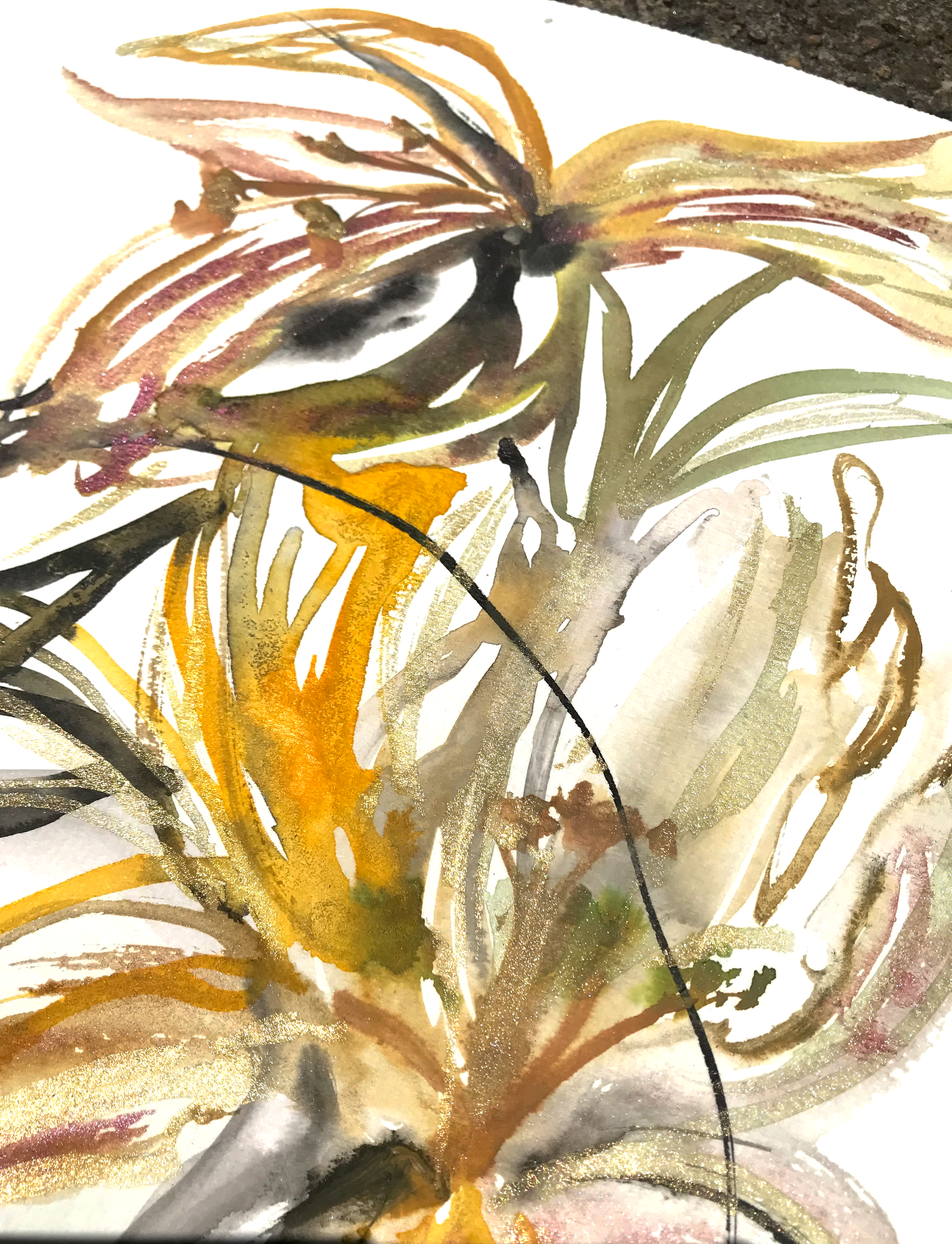 tulips.kriskeys4.png