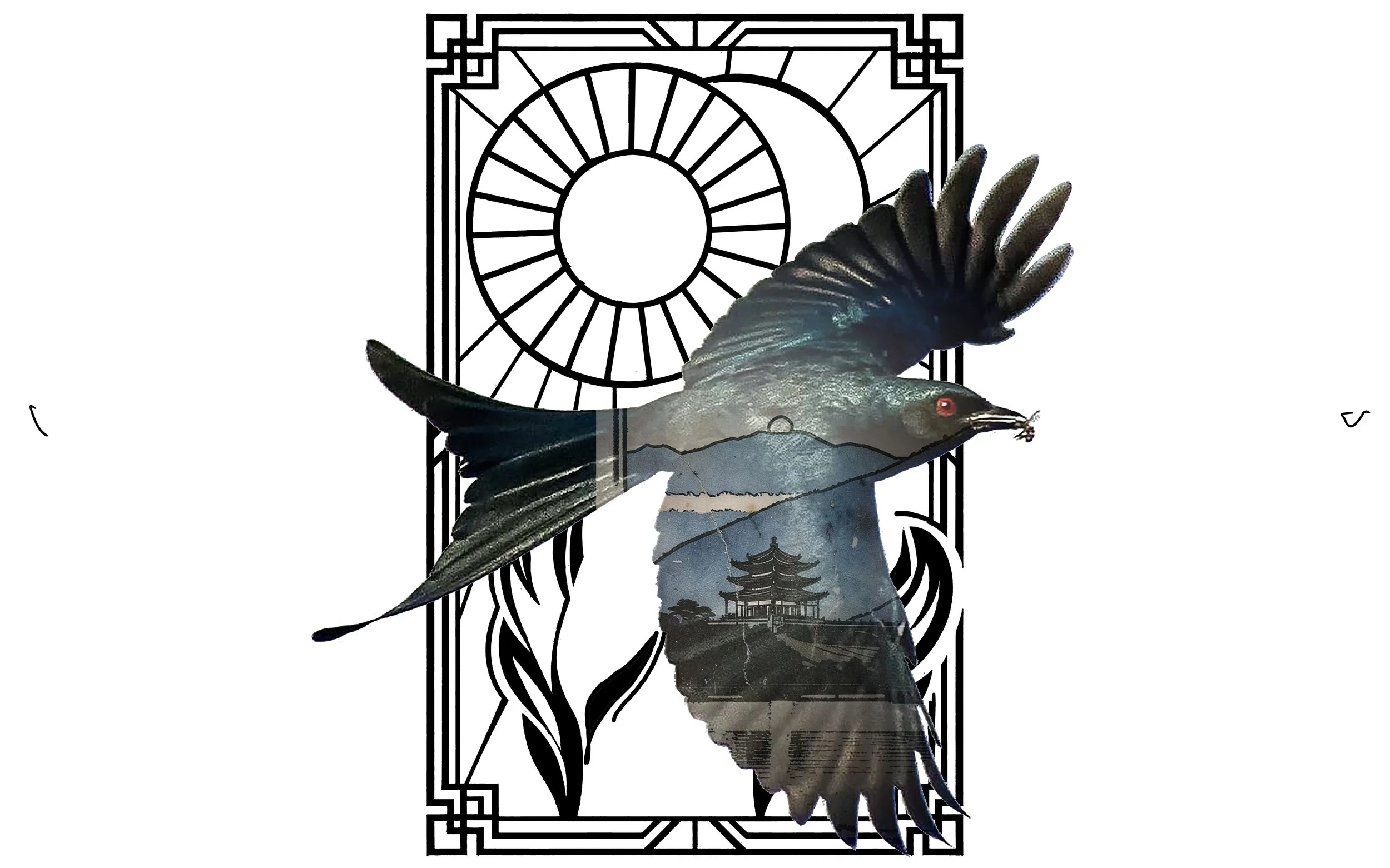 Drongo 18 copy.jpg