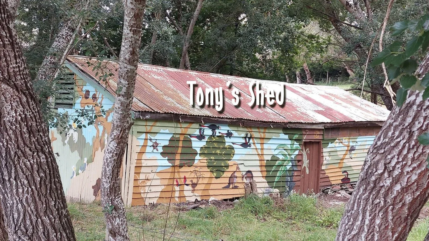 tony shed.jpg