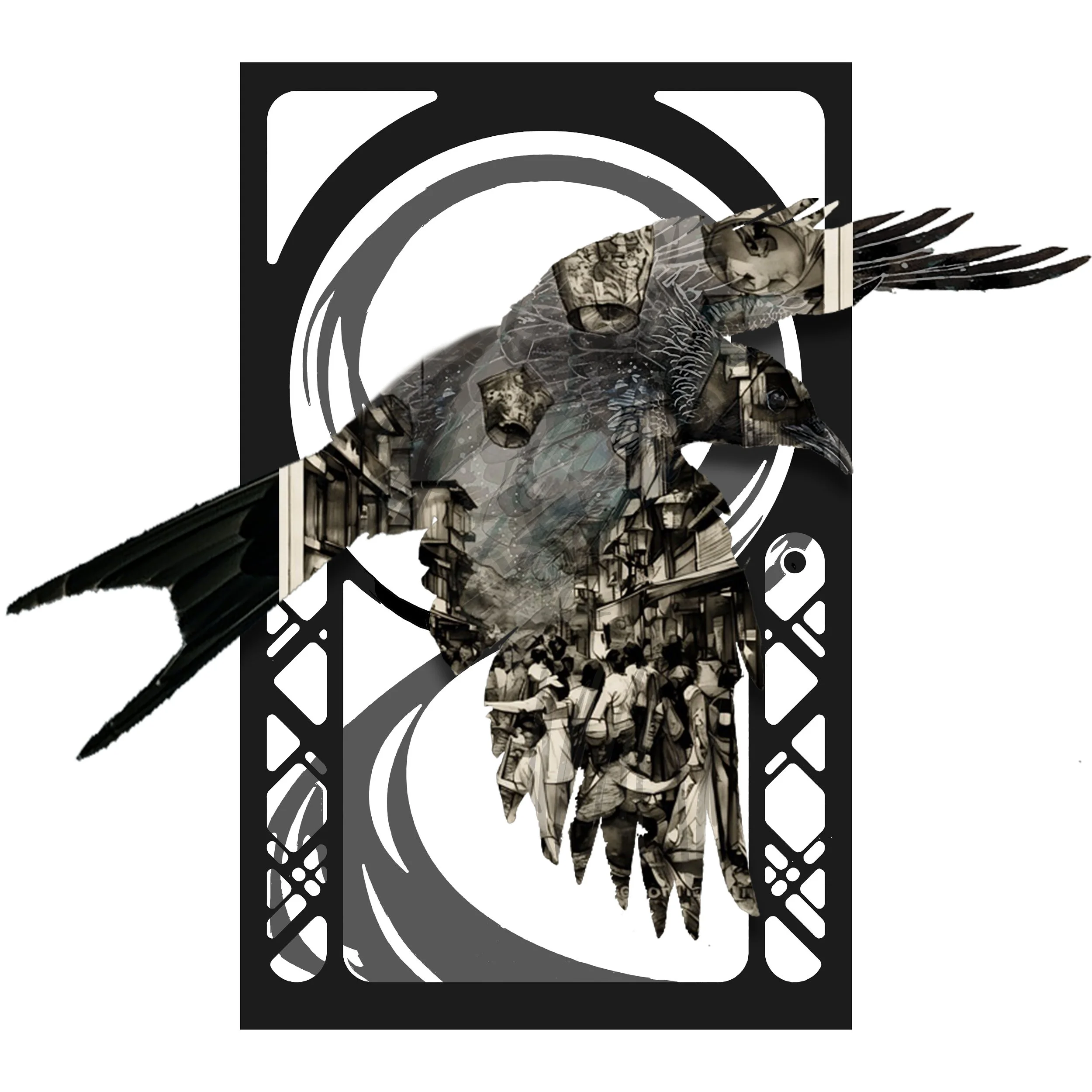 Drongo 17 copy.jpg
