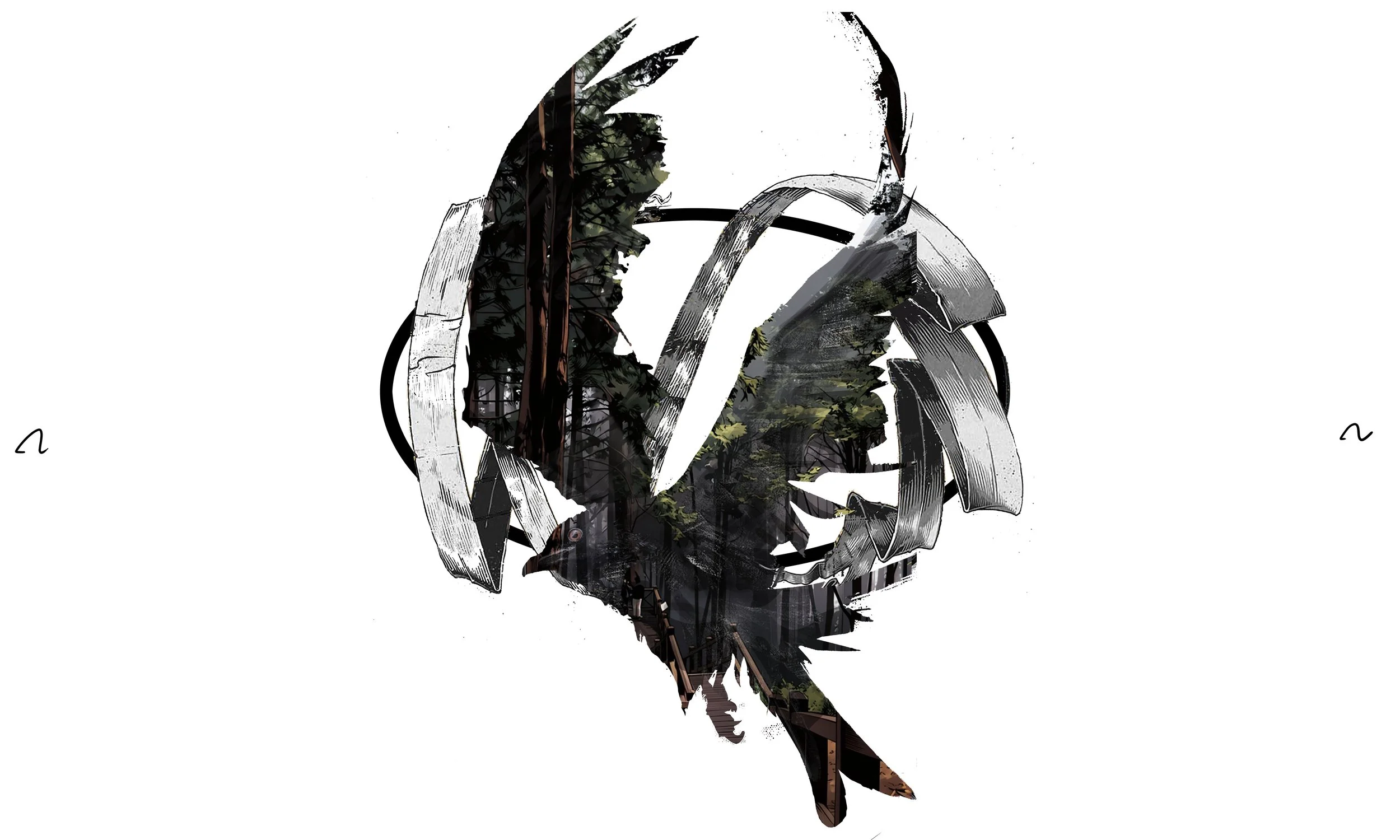 Drongo 02 copy.jpg