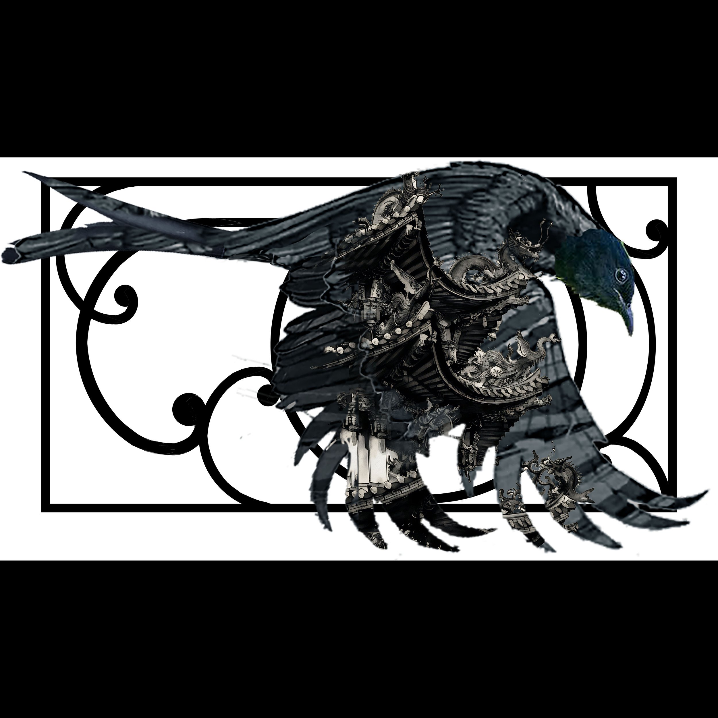 Drongo 22 copy.jpg