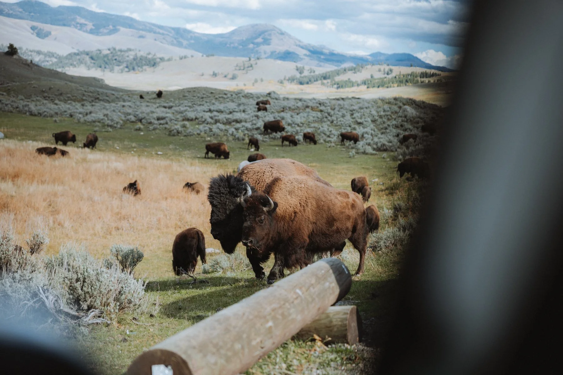wyoming-summer-2026-111.jpg