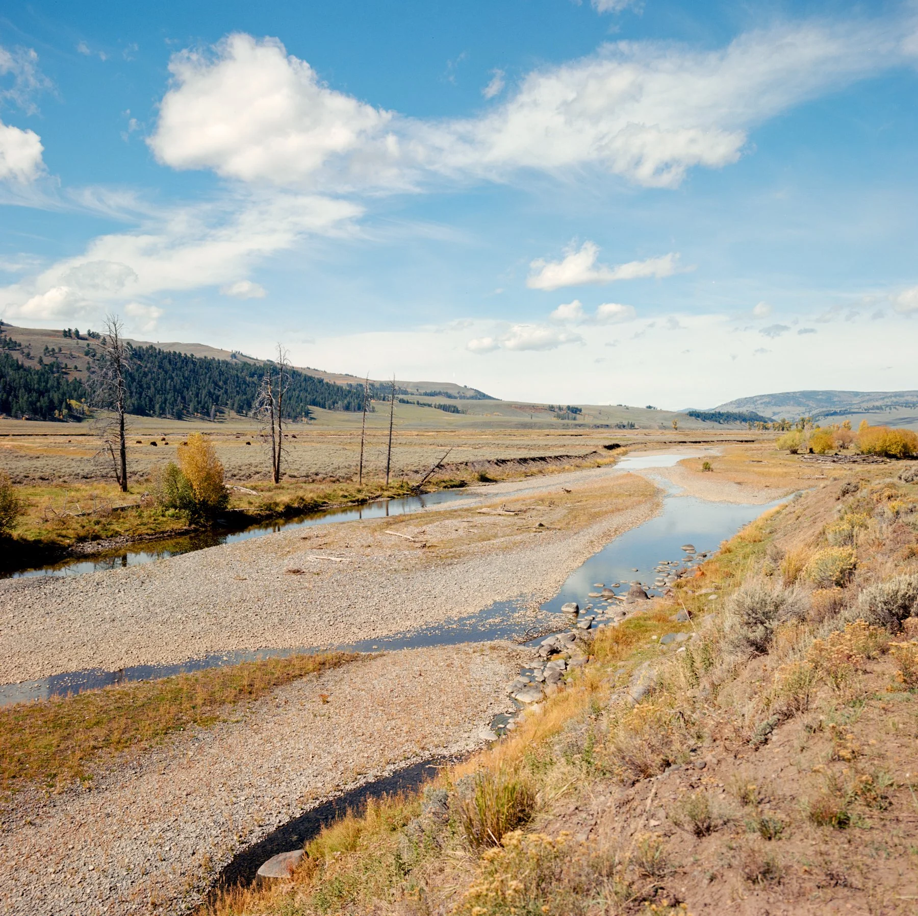 wyoming-summer-2026-196.jpg