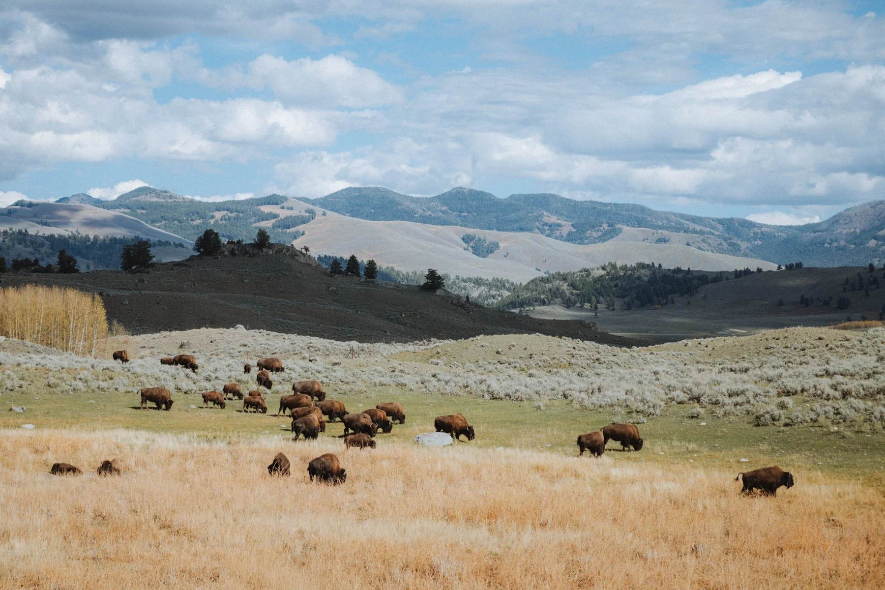 wyoming-summer-2026-103.jpg