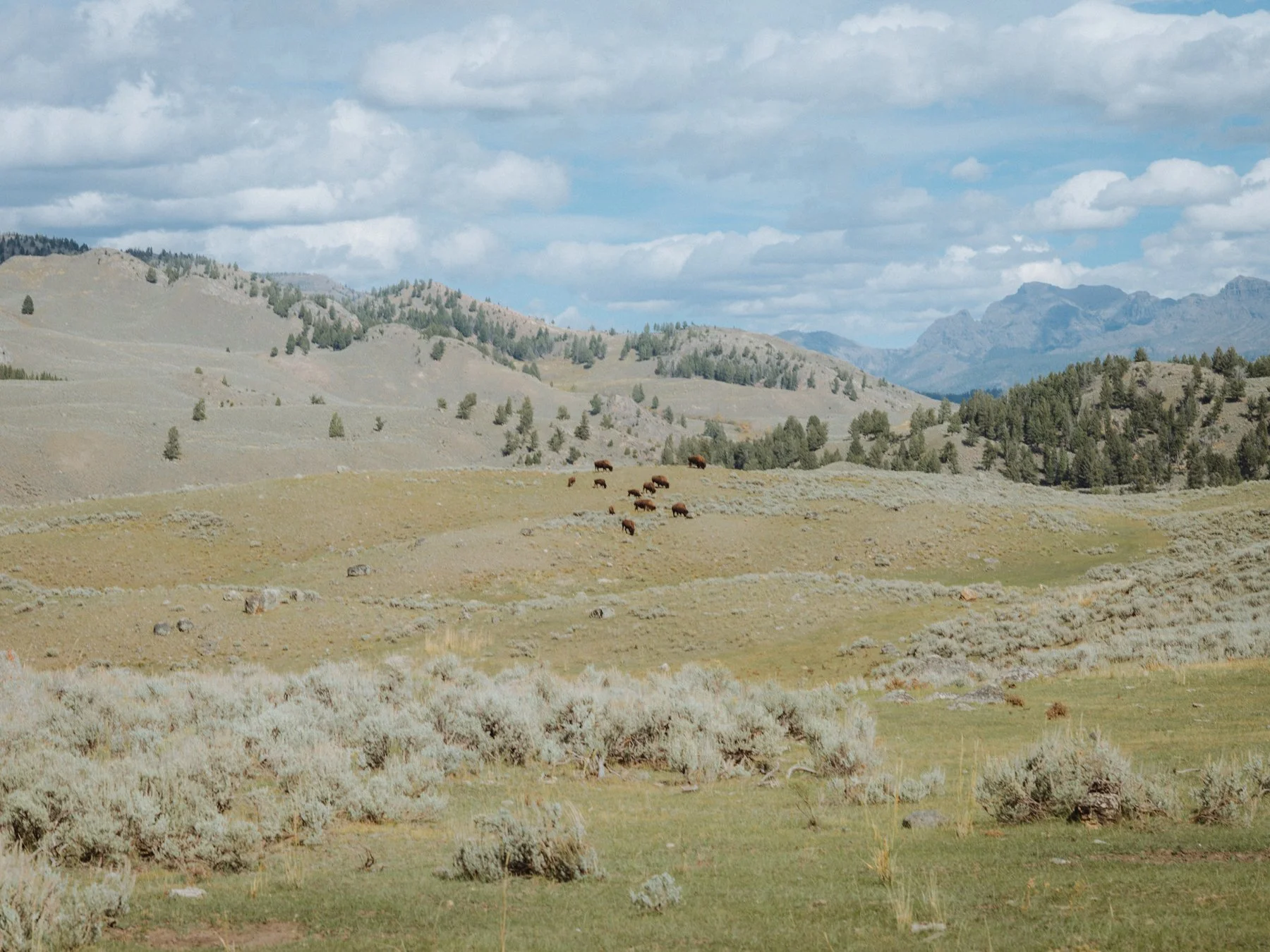 wyoming-summer-2026-140.jpg