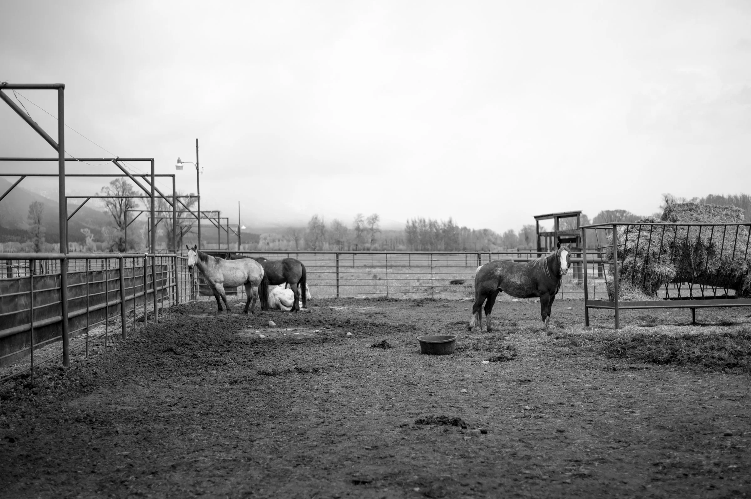 western-docu-05.jpg