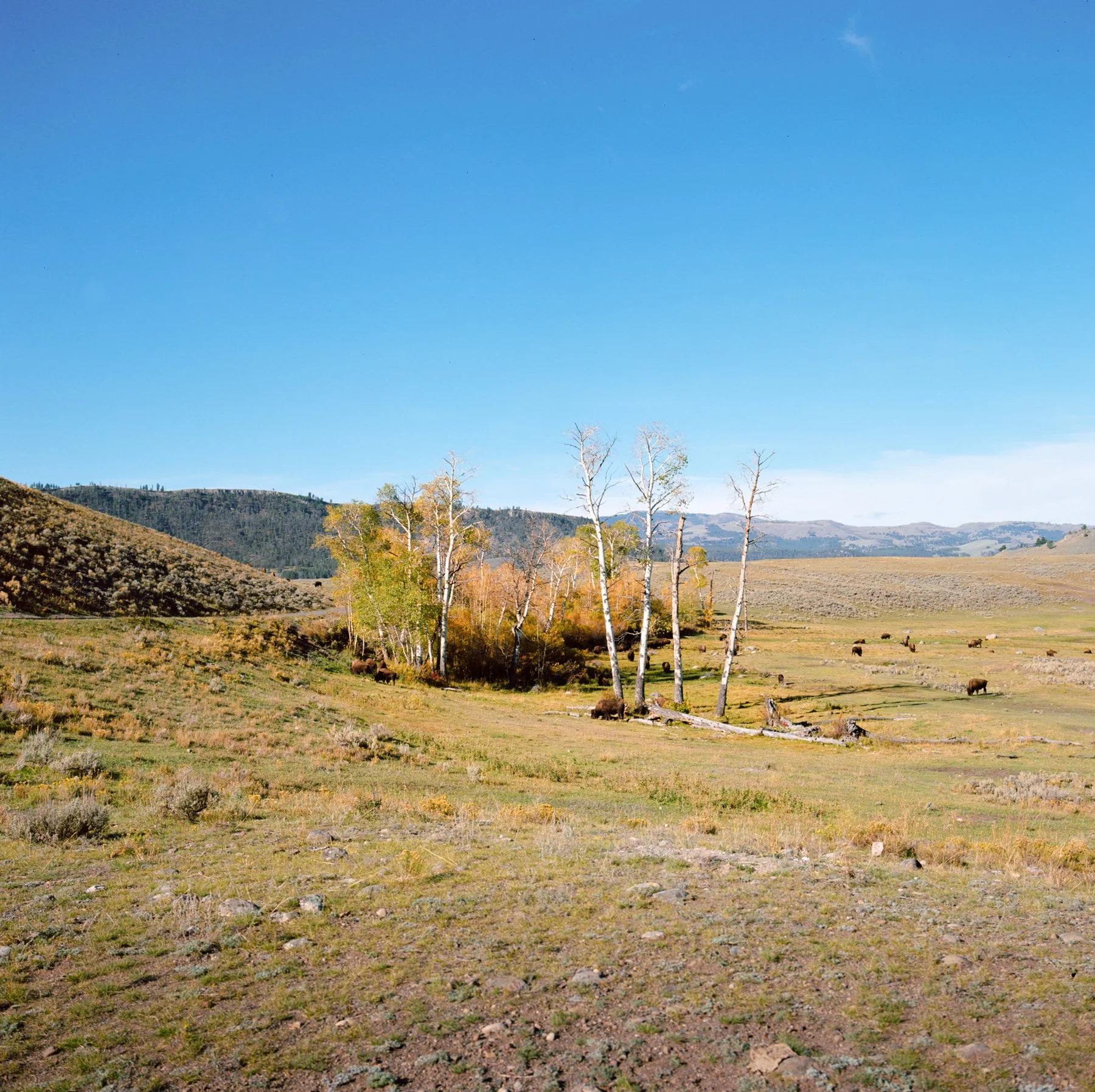 wyoming-summer-2026-184.jpg