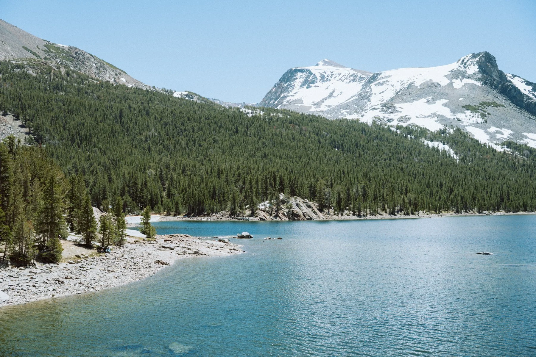 eastern-sierras-summer-2026-21.jpg