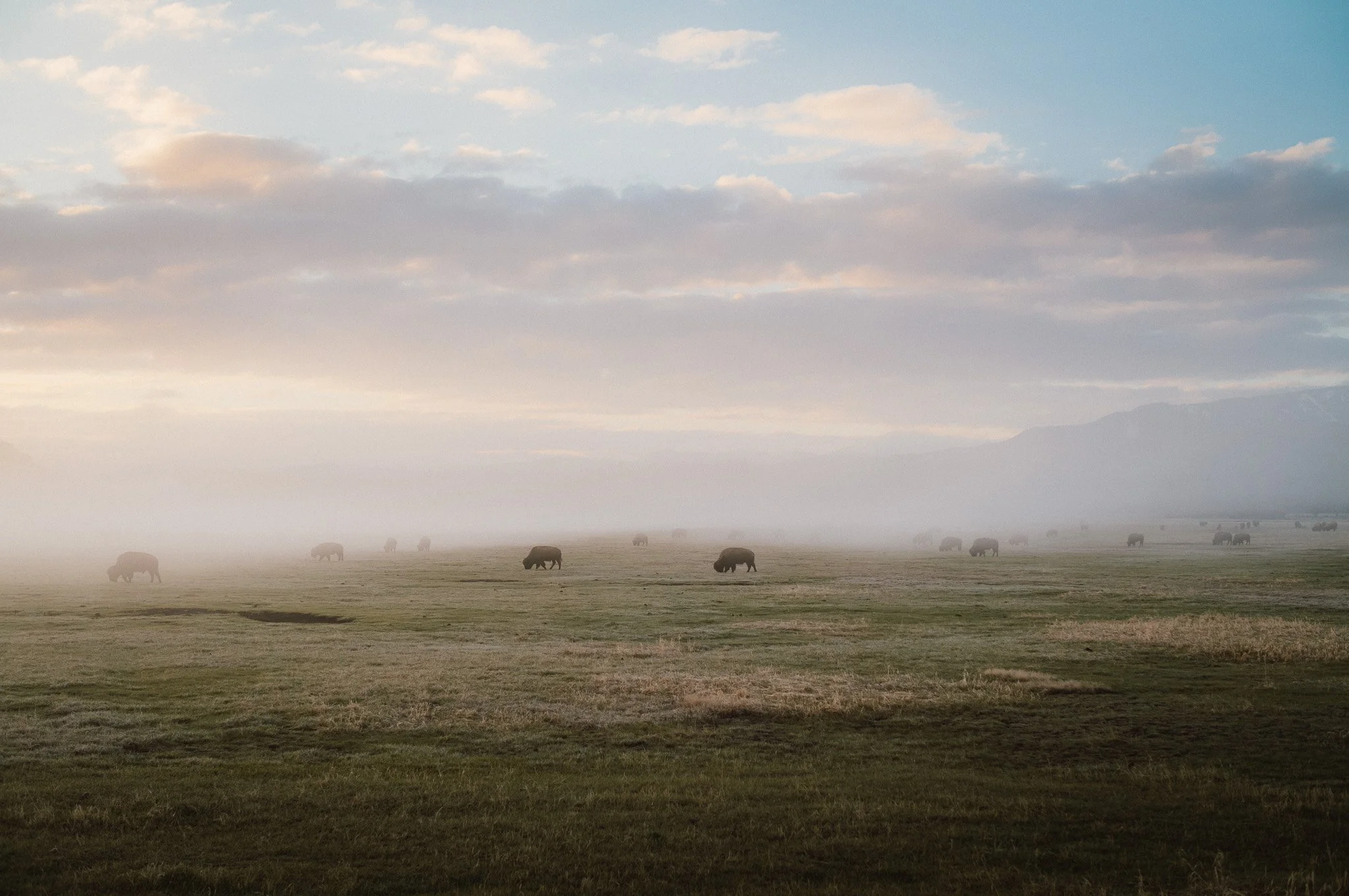 Grand Teton // 2024