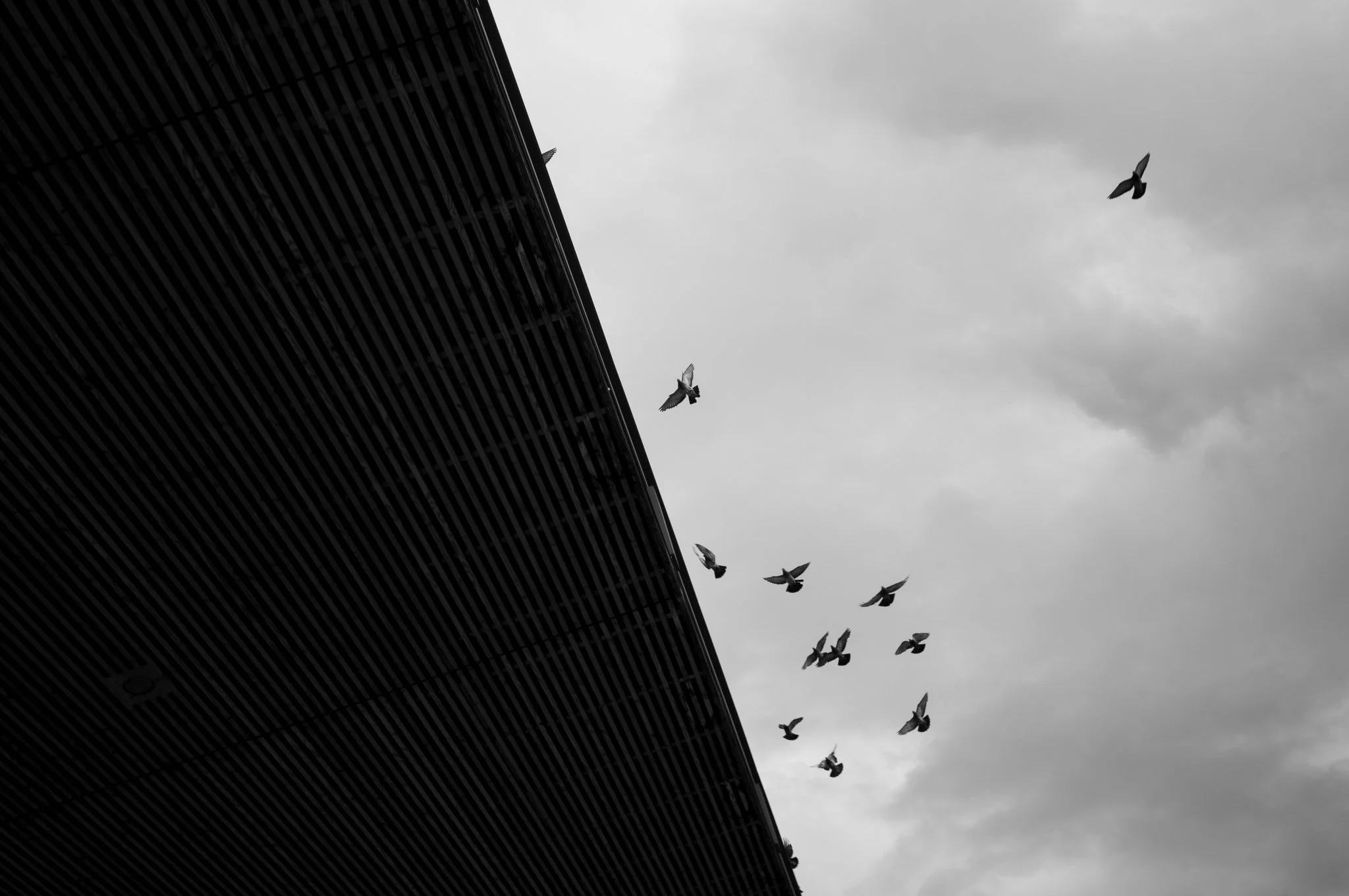 zurich-24.jpg