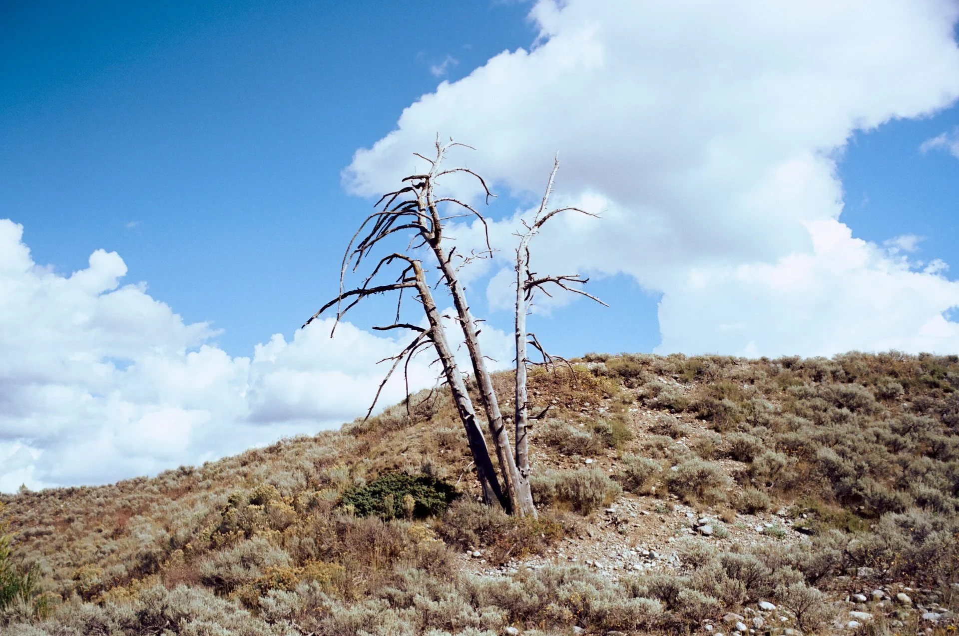 grand-teton-intrusion-06.jpg