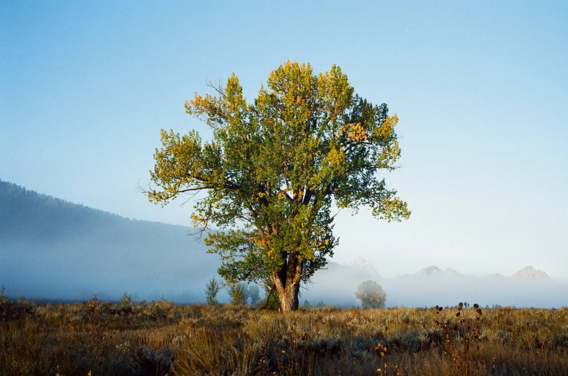 grand-teton-intrusion-11.jpg