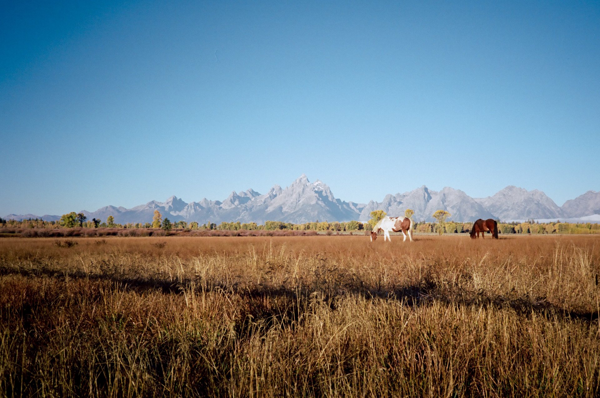 grand-teton-intrusion-16.jpg